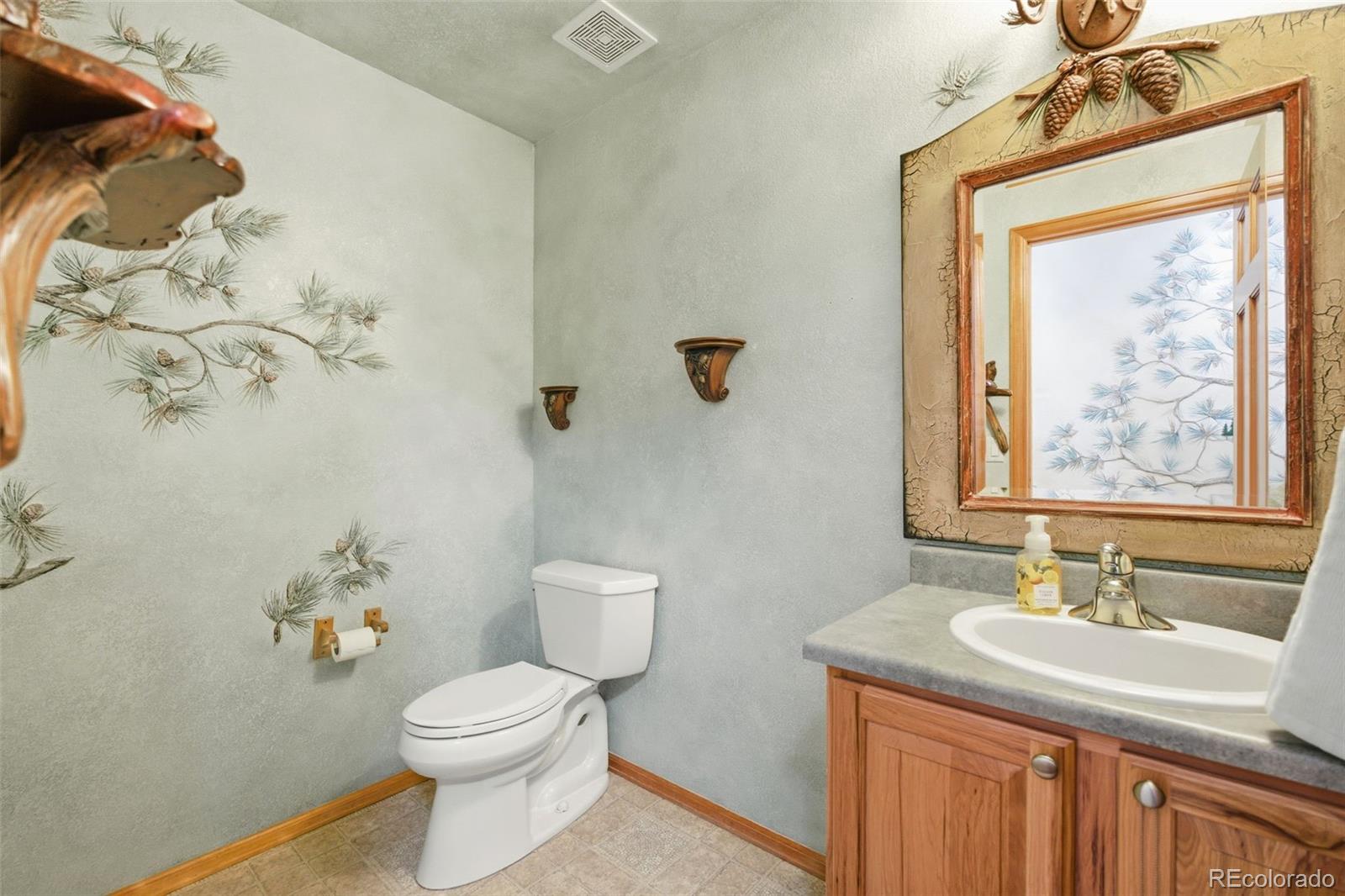 MLS Image #15 for 1603  rosemary court,castle rock, Colorado