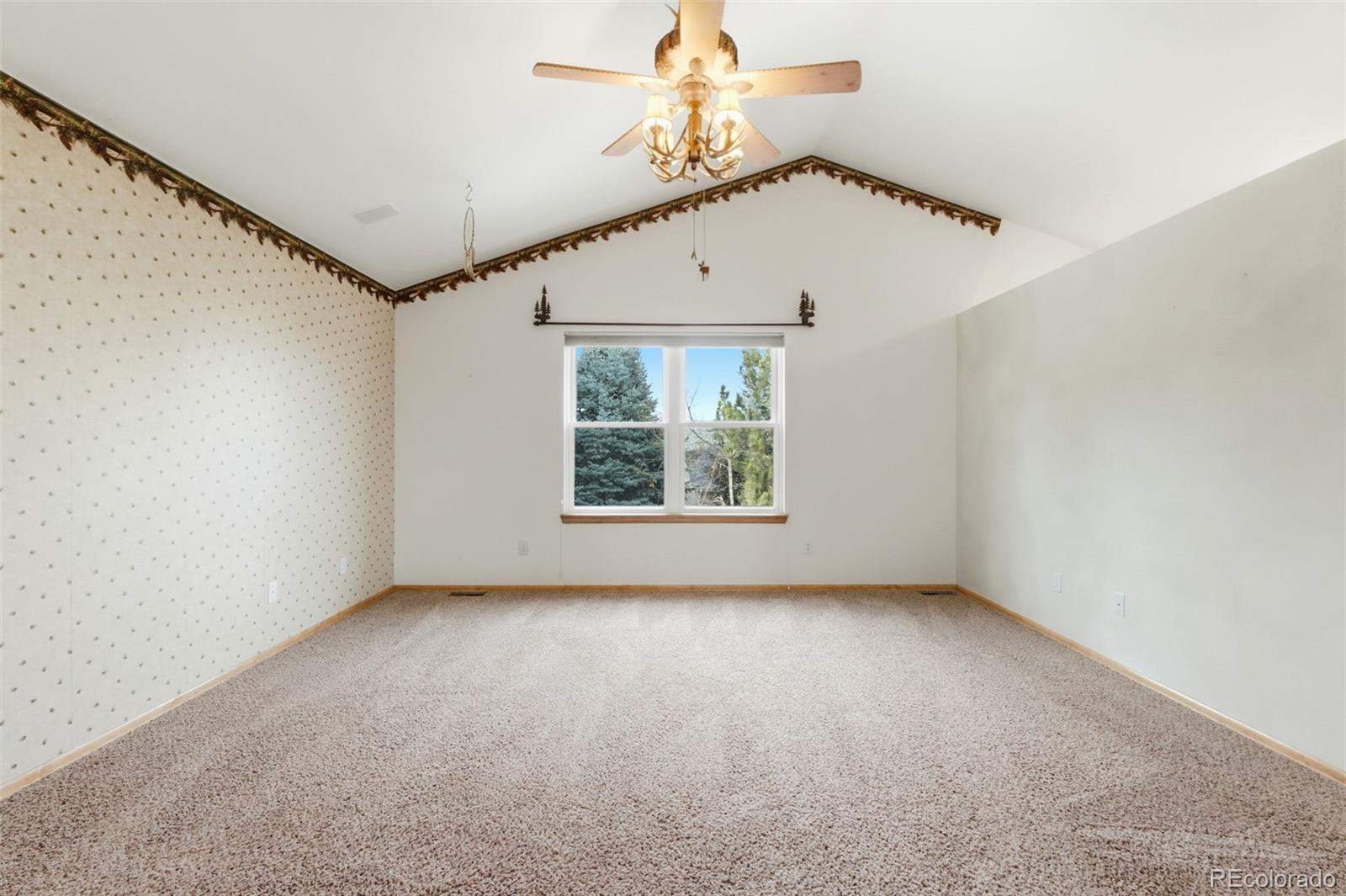 MLS Image #17 for 1603  rosemary court,castle rock, Colorado