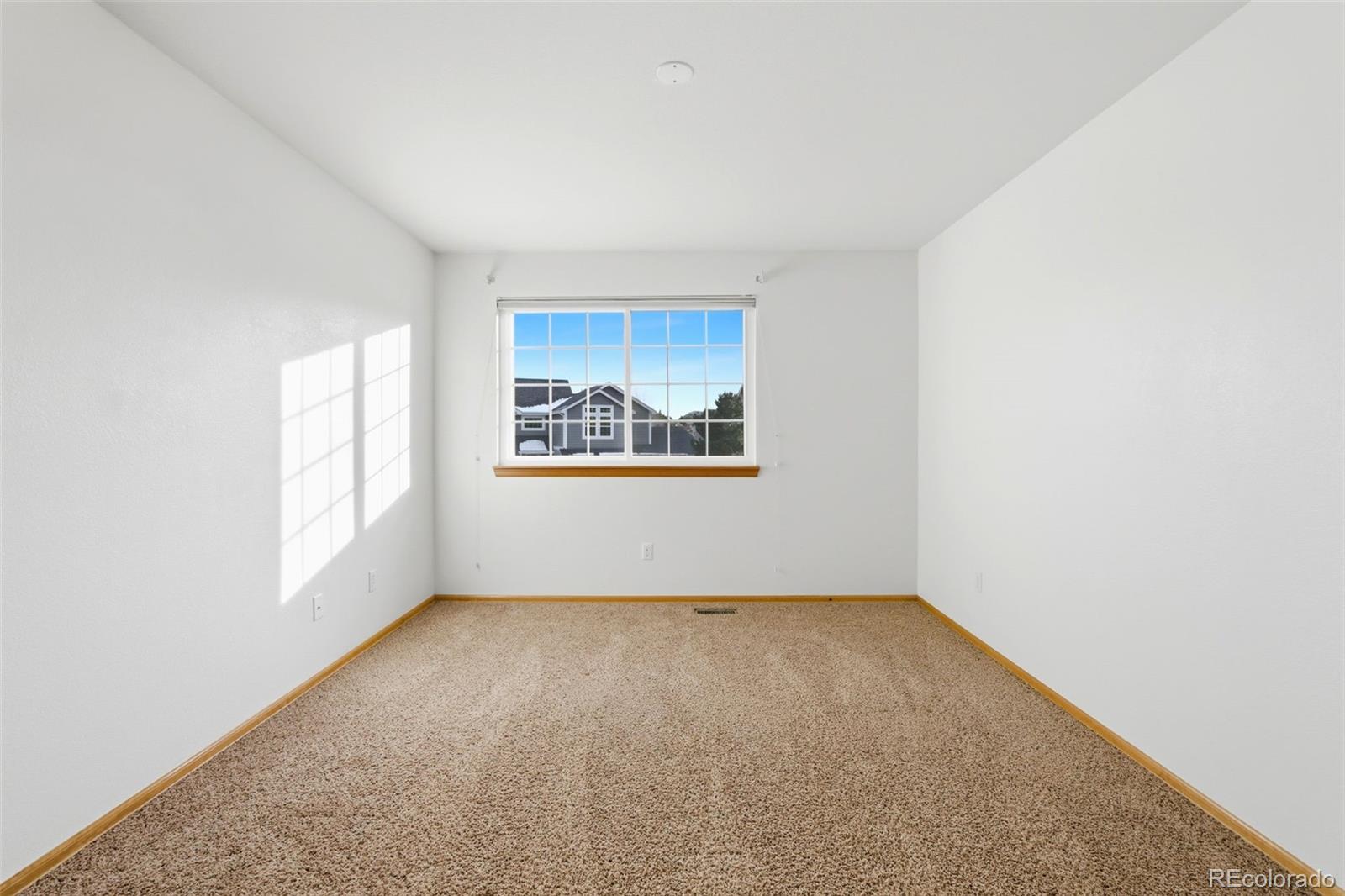 MLS Image #21 for 1603  rosemary court,castle rock, Colorado