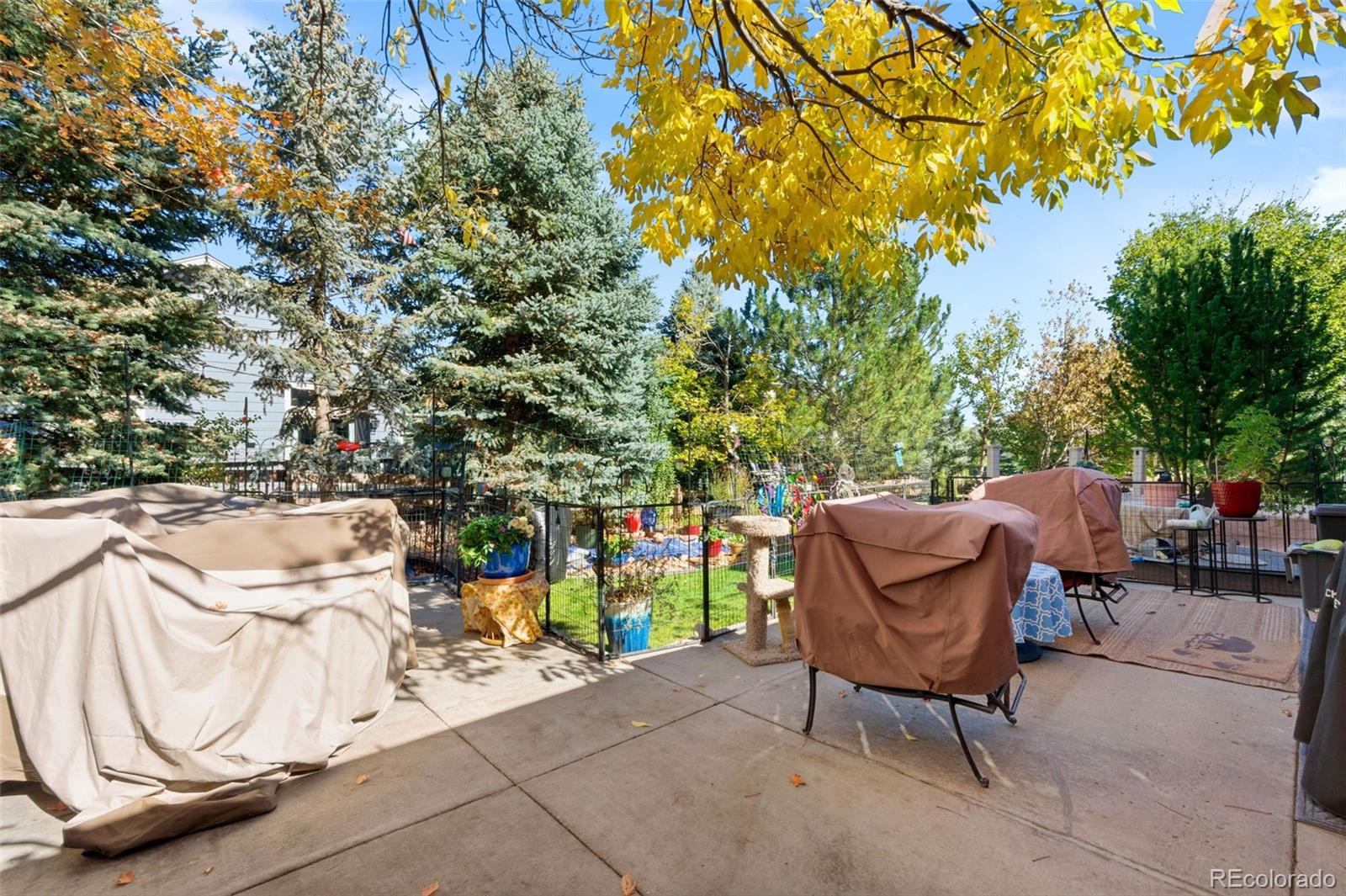 MLS Image #28 for 1603  rosemary court,castle rock, Colorado