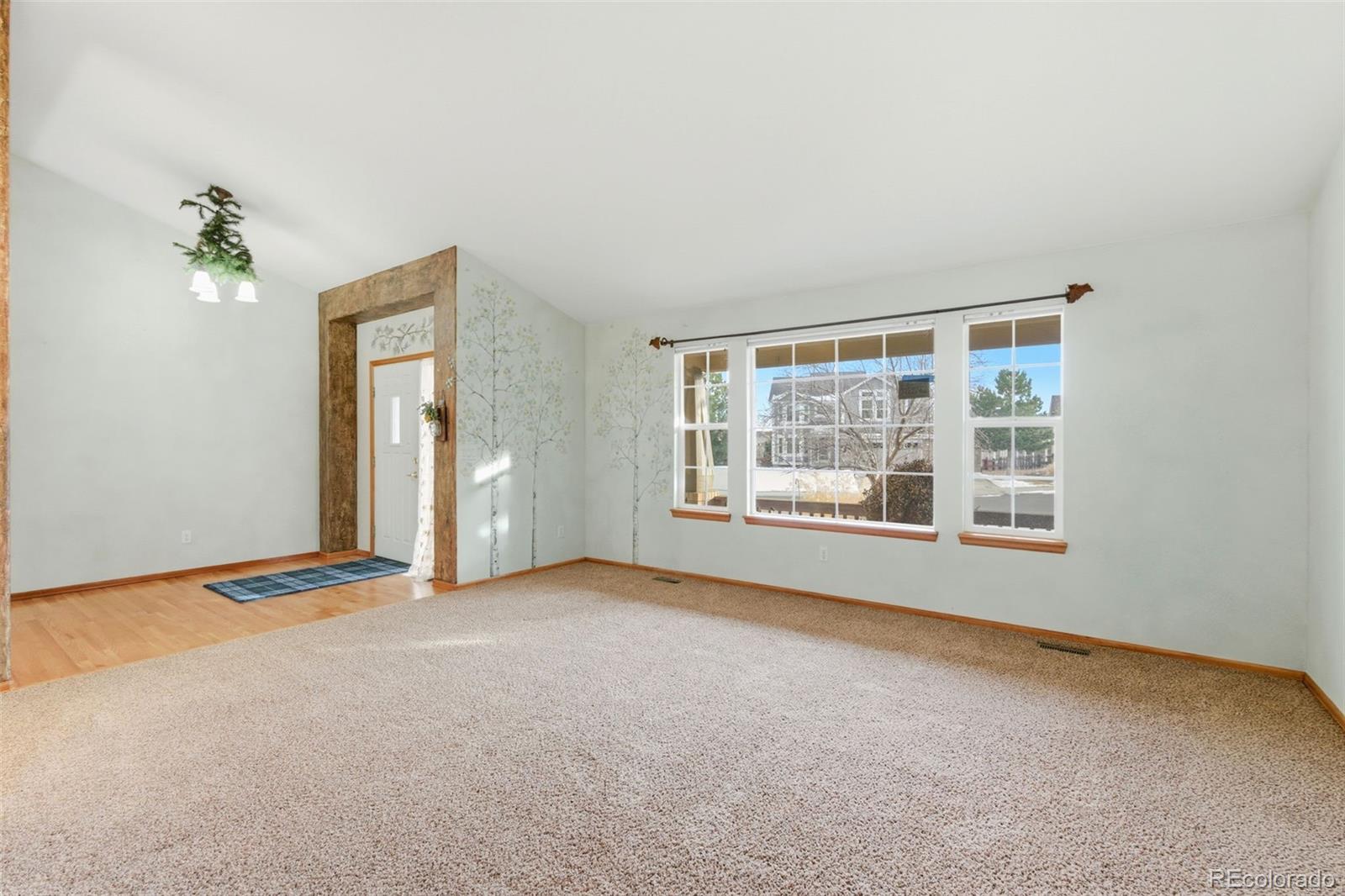 MLS Image #3 for 1603  rosemary court,castle rock, Colorado