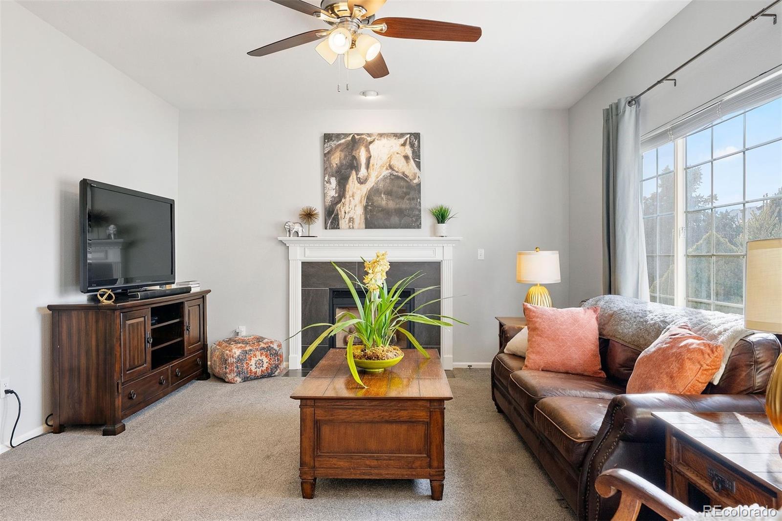 MLS Image #13 for 9809  mulberry way,highlands ranch, Colorado