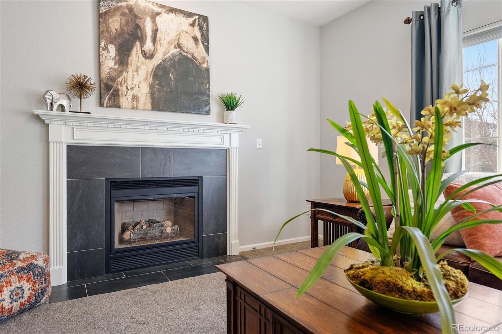 MLS Image #15 for 9809  mulberry way,highlands ranch, Colorado