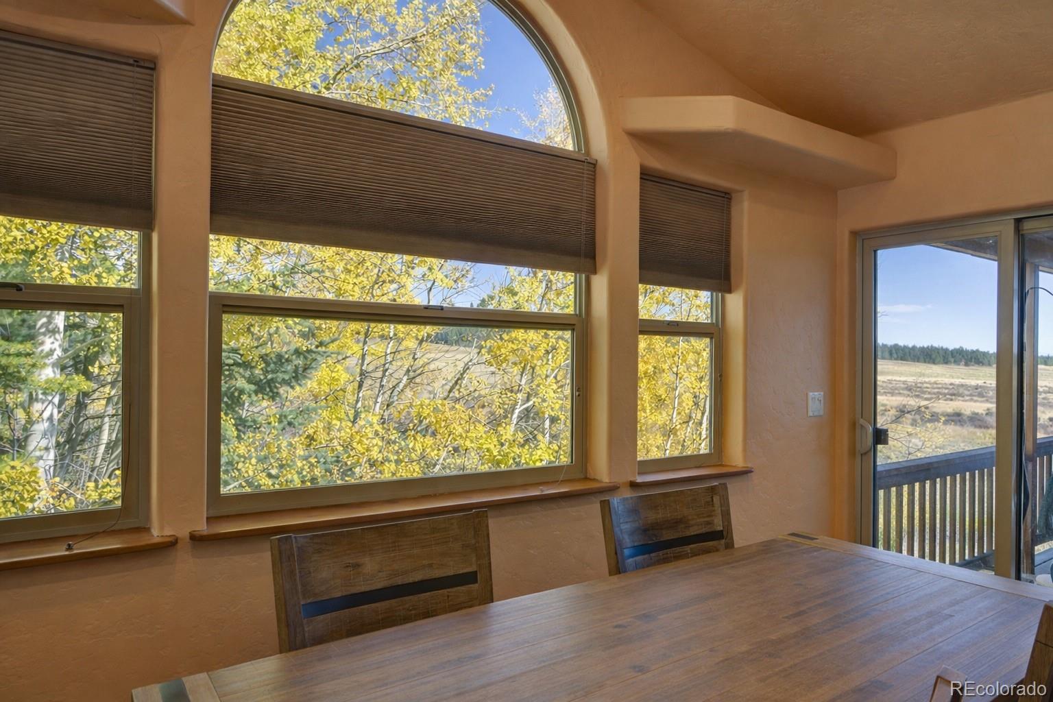 MLS Image #11 for 155  lamb mountain road,fairplay, Colorado
