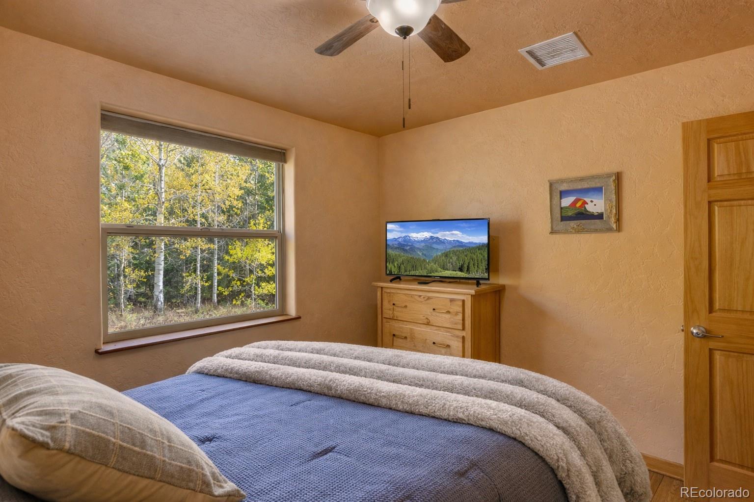 MLS Image #16 for 155  lamb mountain road,fairplay, Colorado