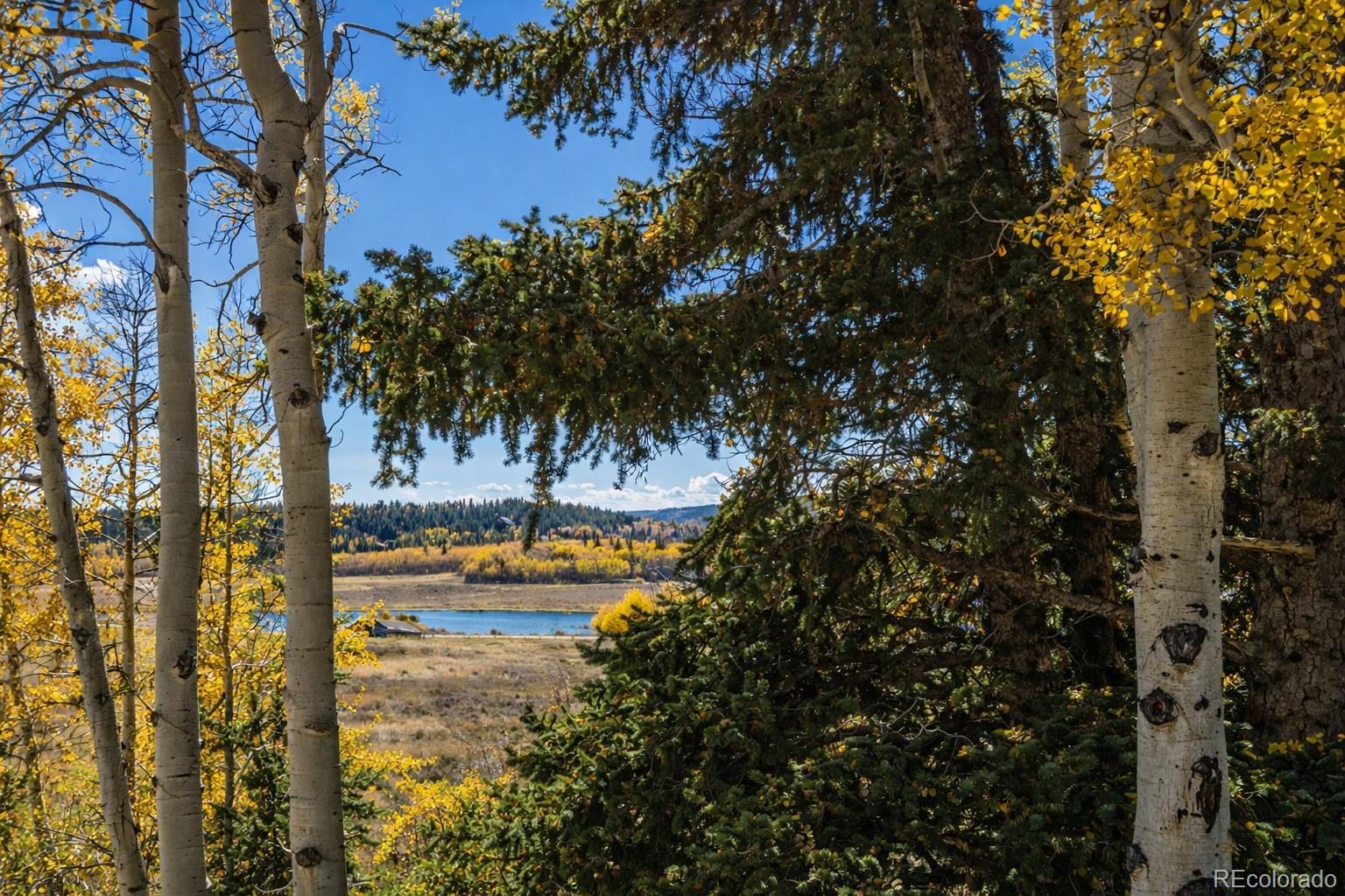 MLS Image #29 for 155  lamb mountain road,fairplay, Colorado