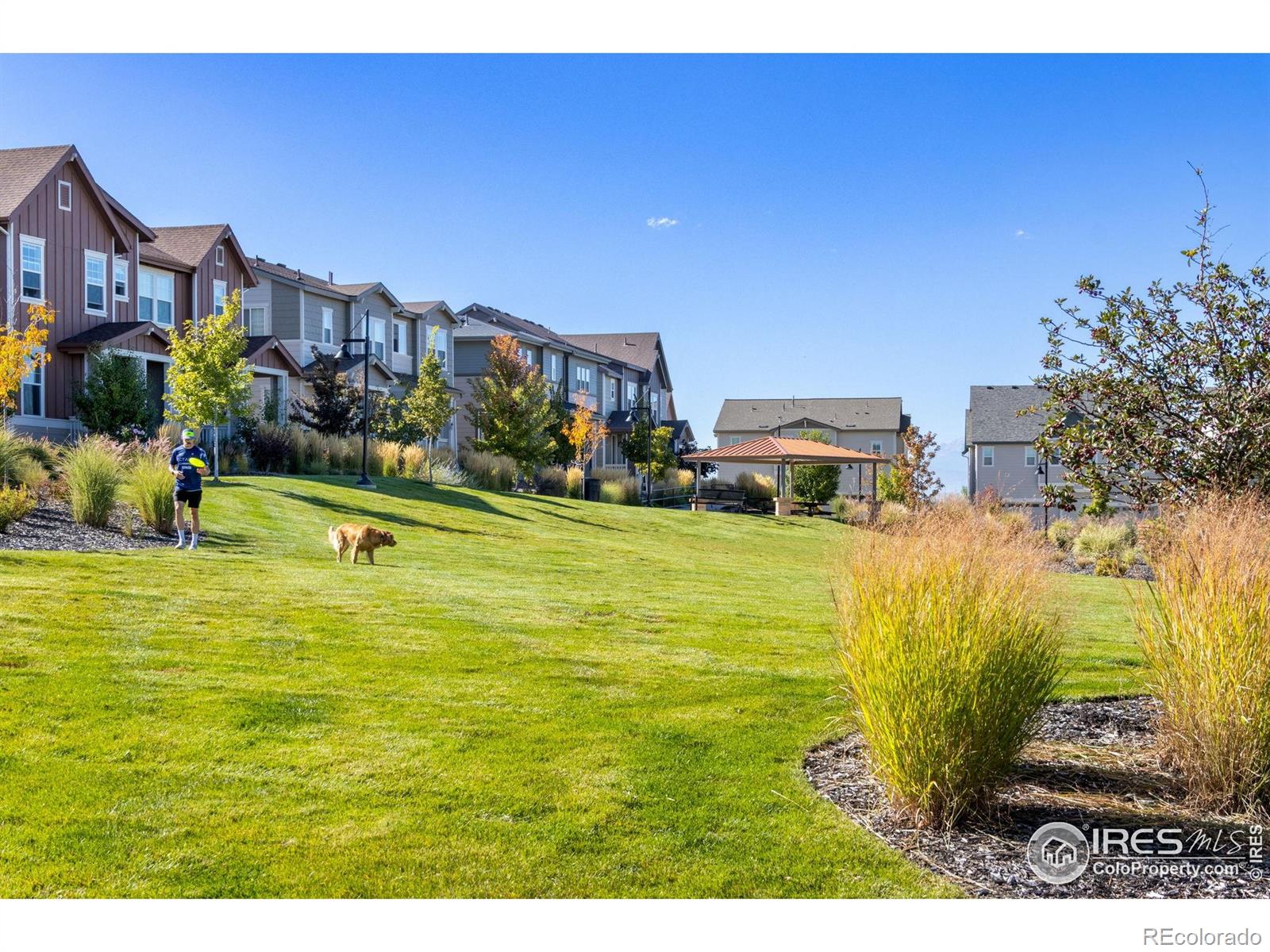 MLS Image #31 for 306  rodden drive,erie, Colorado