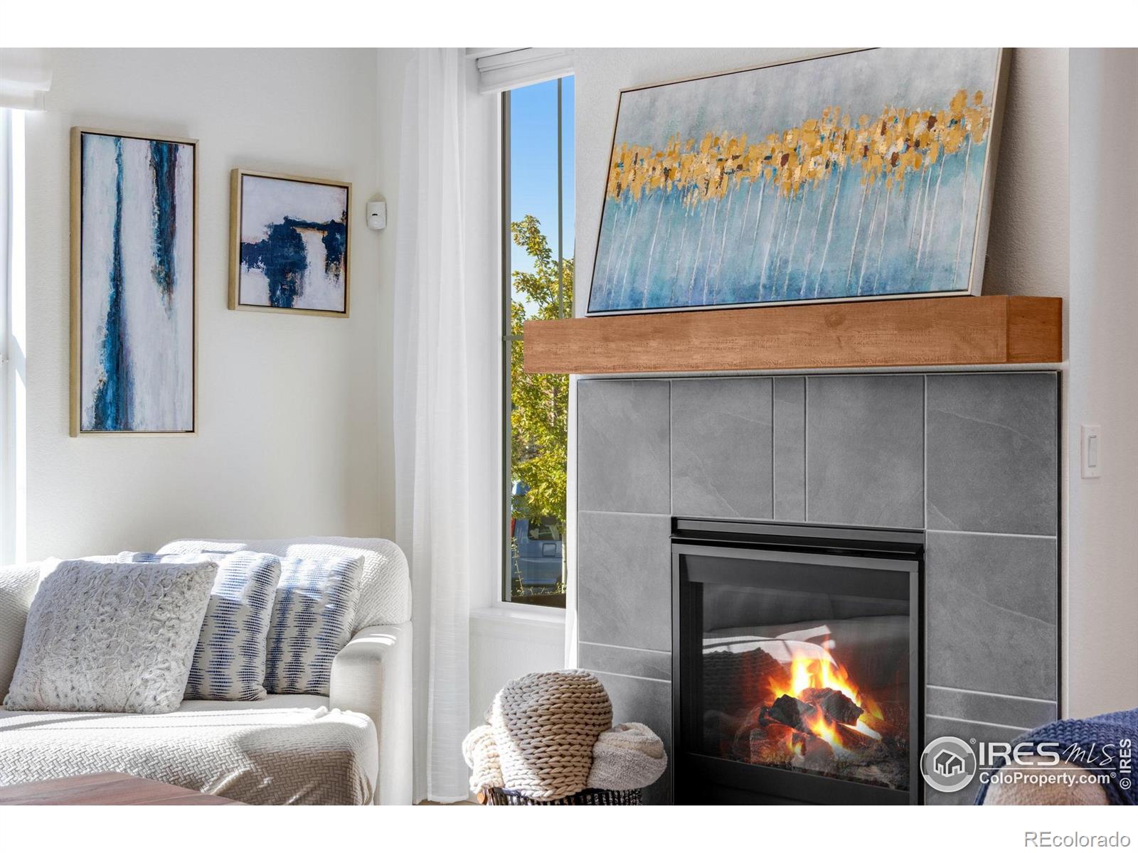 MLS Image #4 for 306  rodden drive,erie, Colorado