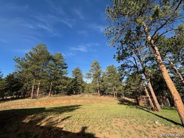 MLS Image #40 for 2013  swede gulch road,evergreen, Colorado