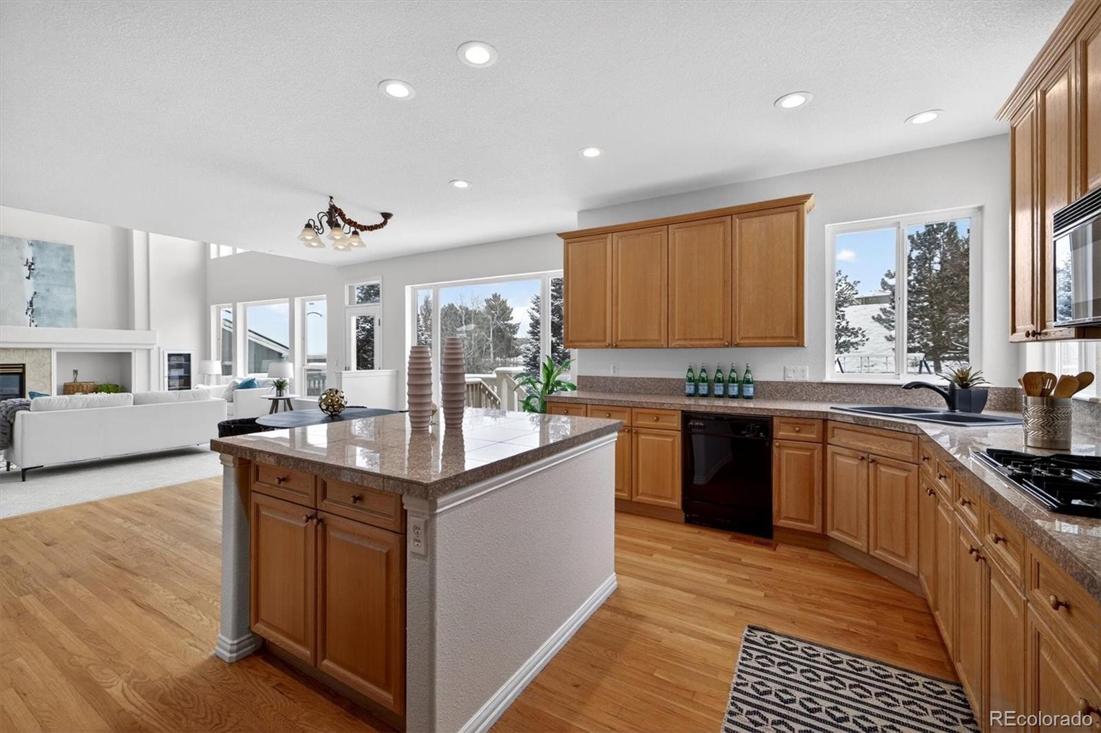 MLS Image #13 for 1700  peninsula circle,castle rock, Colorado