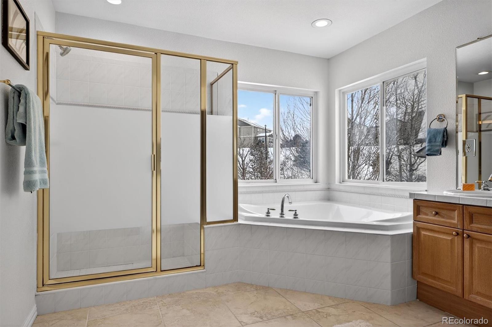 MLS Image #27 for 1700  peninsula circle,castle rock, Colorado