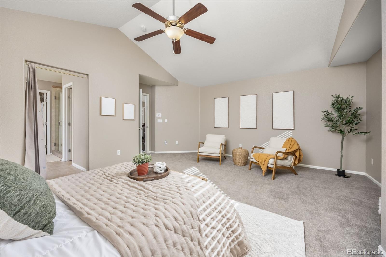 MLS Image #19 for 2477  bellavista street,castle rock, Colorado