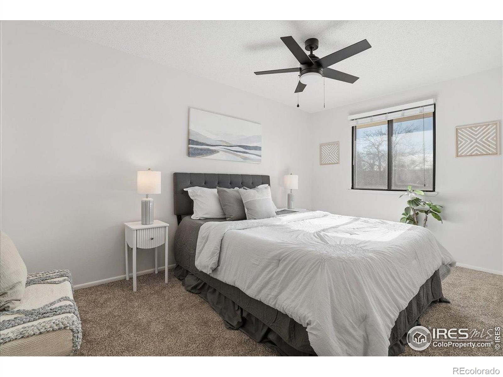 MLS Image #14 for 1244  boxelder drive,loveland, Colorado