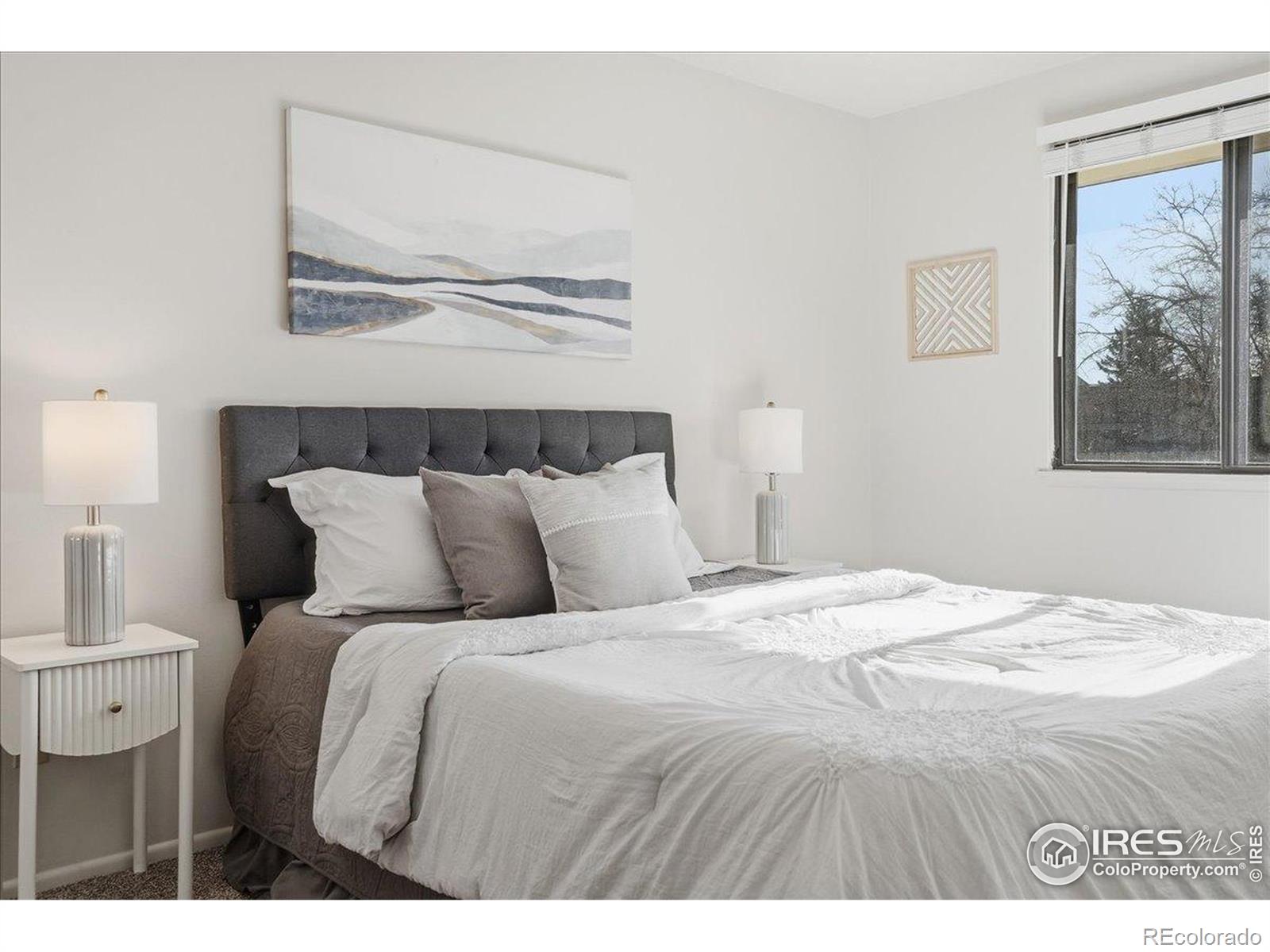MLS Image #17 for 1244  boxelder drive,loveland, Colorado