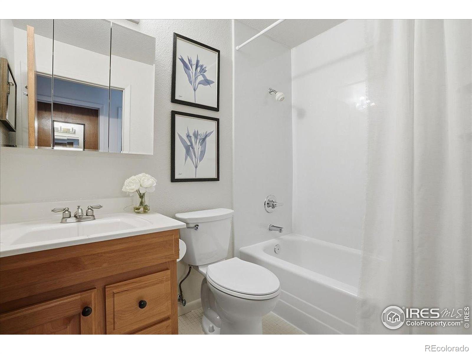 MLS Image #20 for 1244  boxelder drive,loveland, Colorado