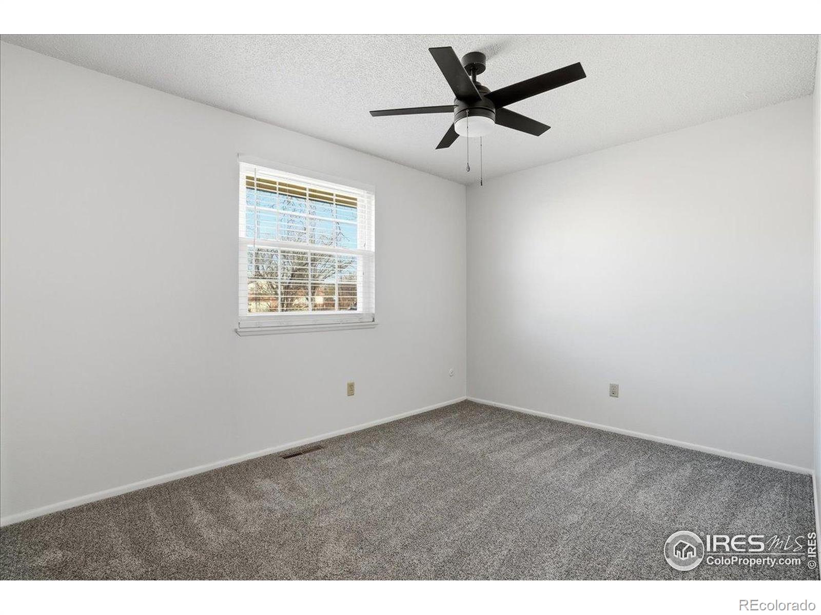 MLS Image #21 for 1244  boxelder drive,loveland, Colorado