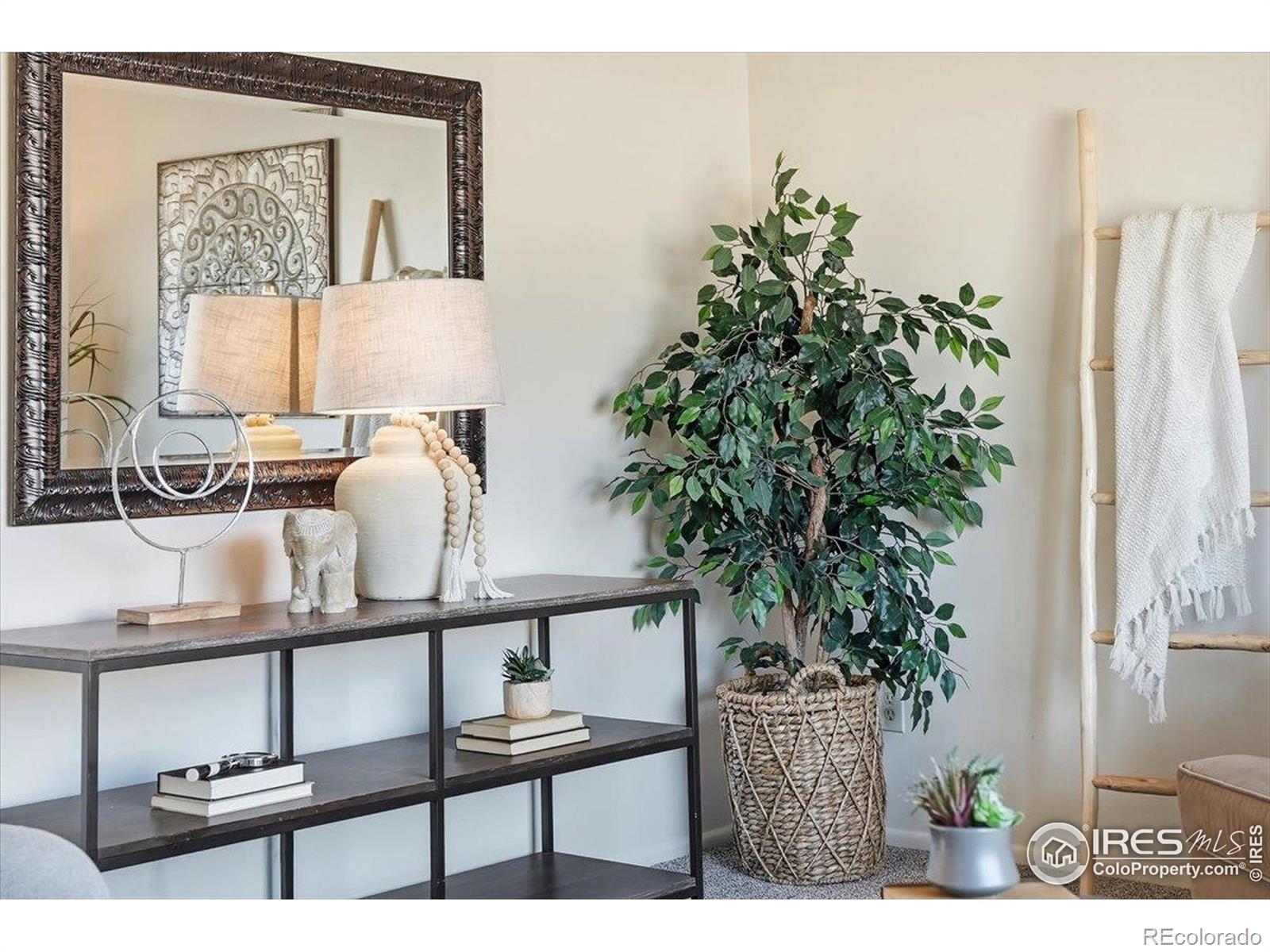 MLS Image #5 for 1244  boxelder drive,loveland, Colorado