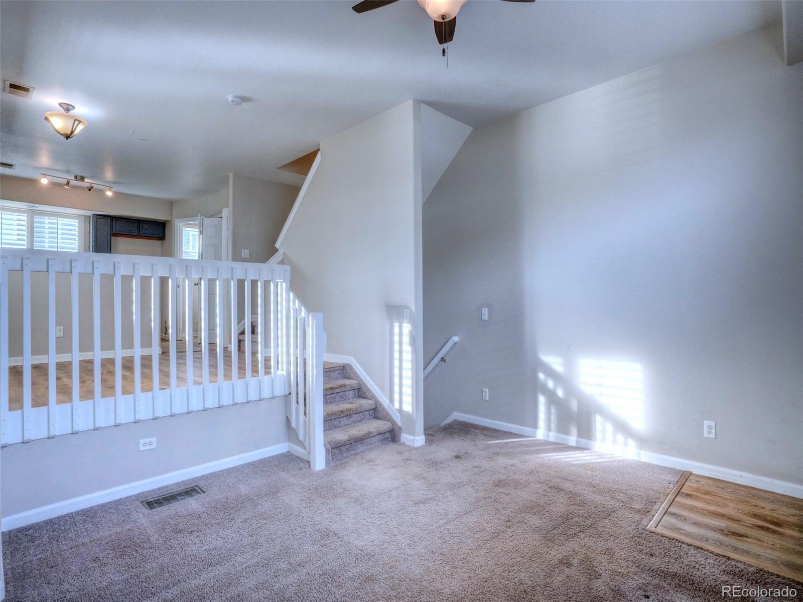 MLS Image #6 for 12070  locust court ,brighton, Colorado