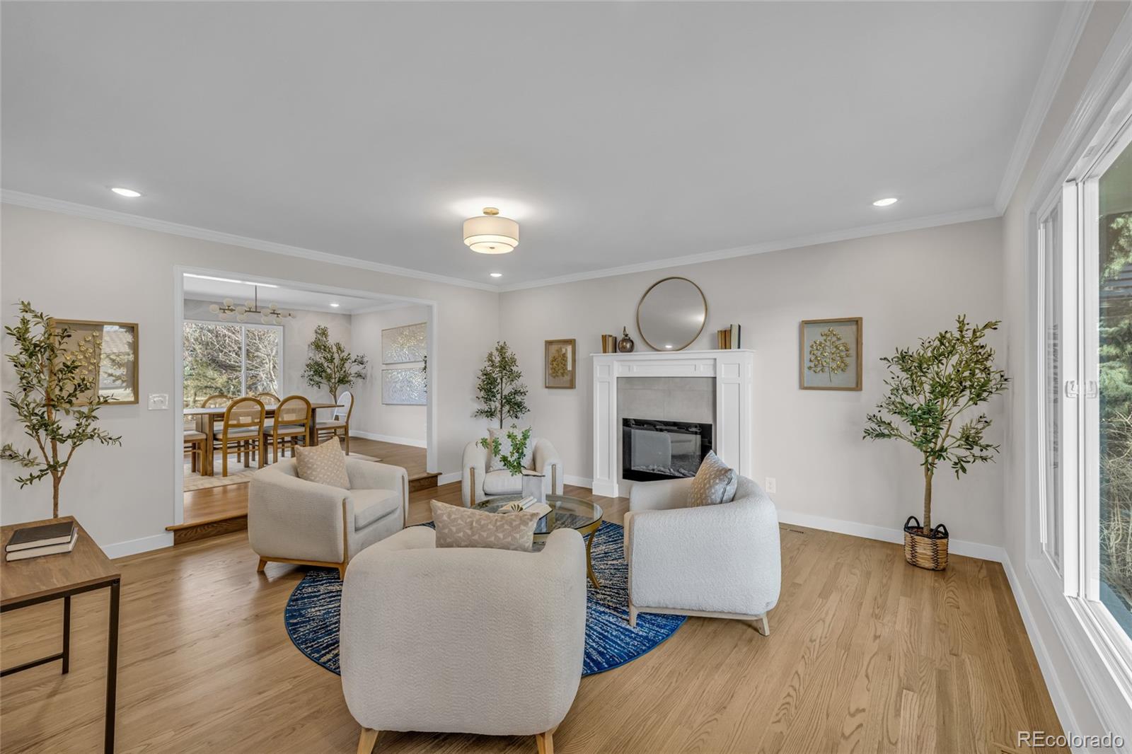 MLS Image #7 for 4189 s oneida street,denver, Colorado