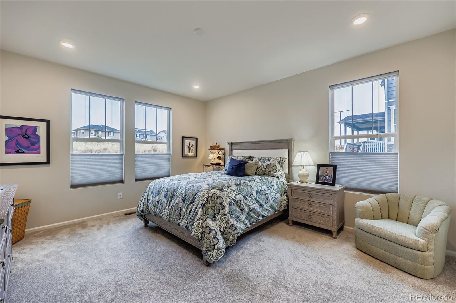 MLS Image #7 for 1853  water birch way,castle rock, Colorado