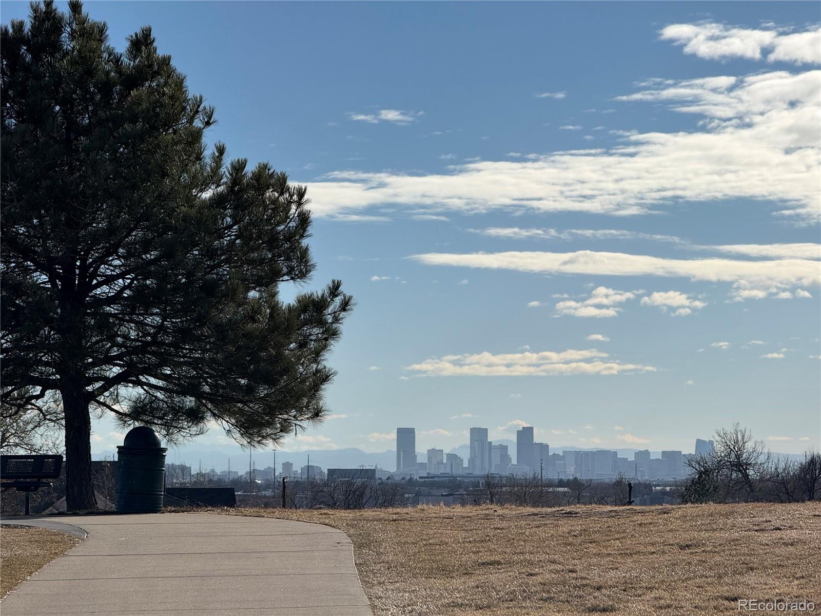 MLS Image #20 for 2111  coronado parkway,denver, Colorado