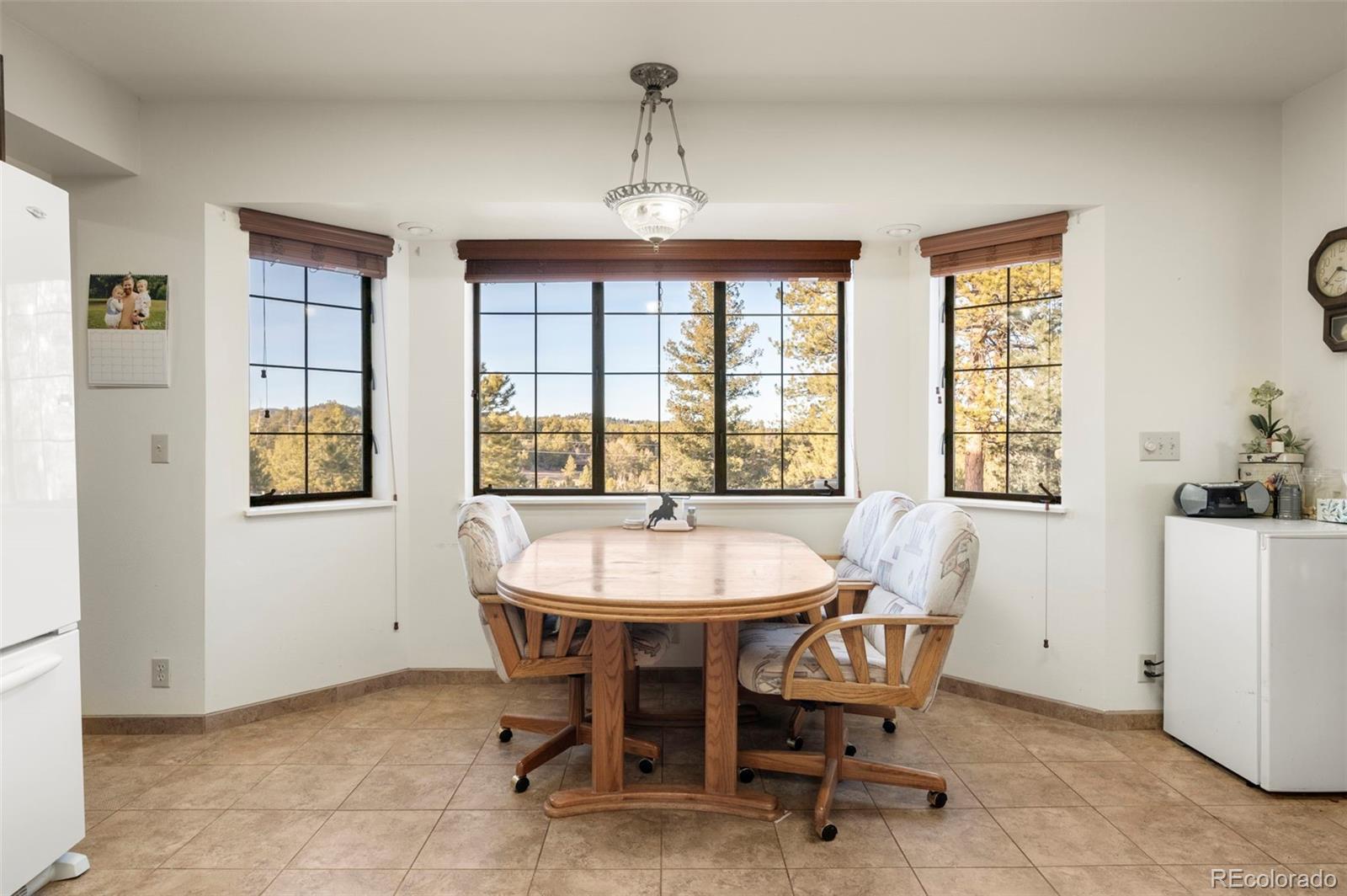 MLS Image #11 for 537  chapparal trail,florissant, Colorado