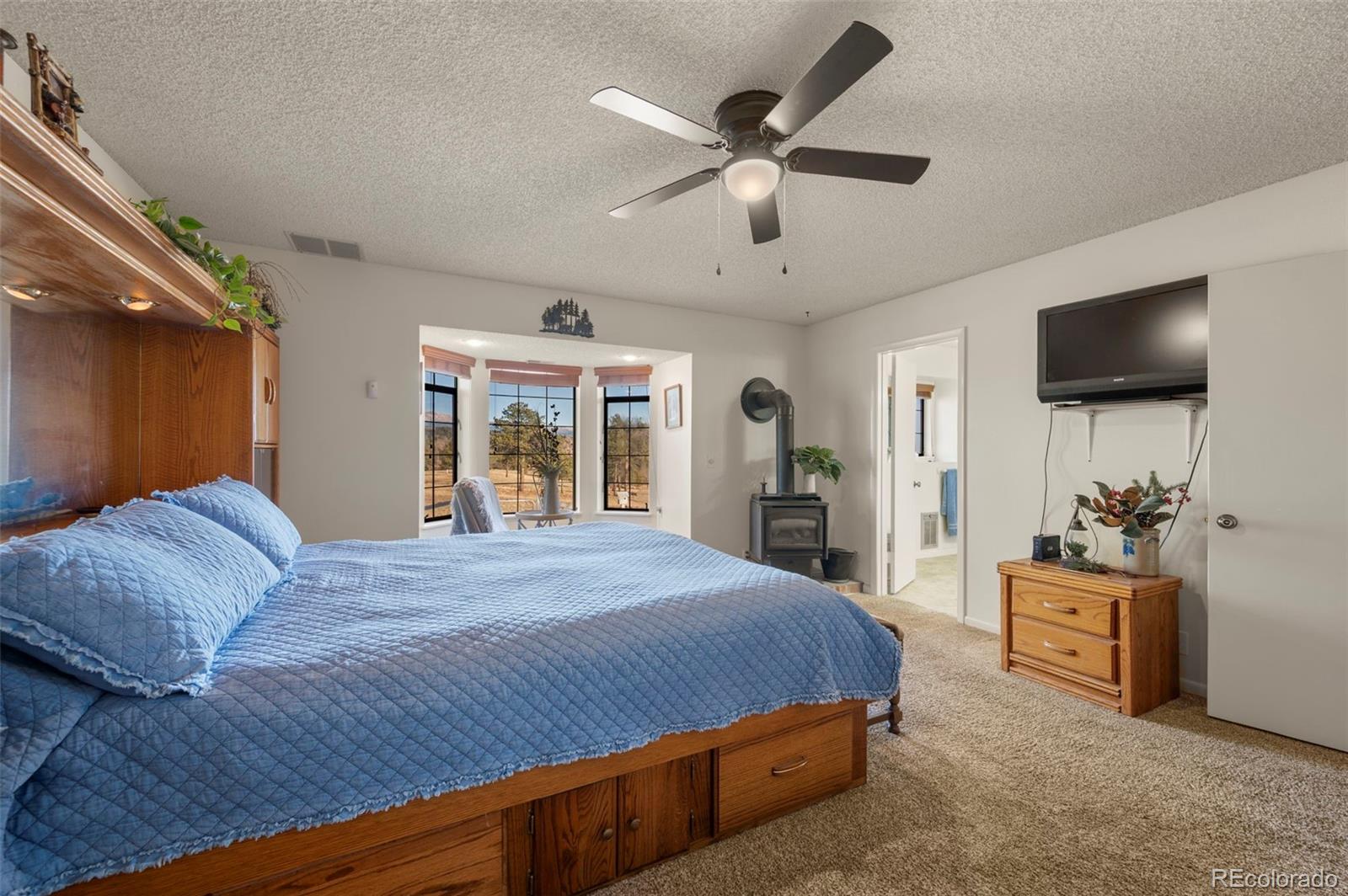 MLS Image #13 for 537  chapparal trail,florissant, Colorado