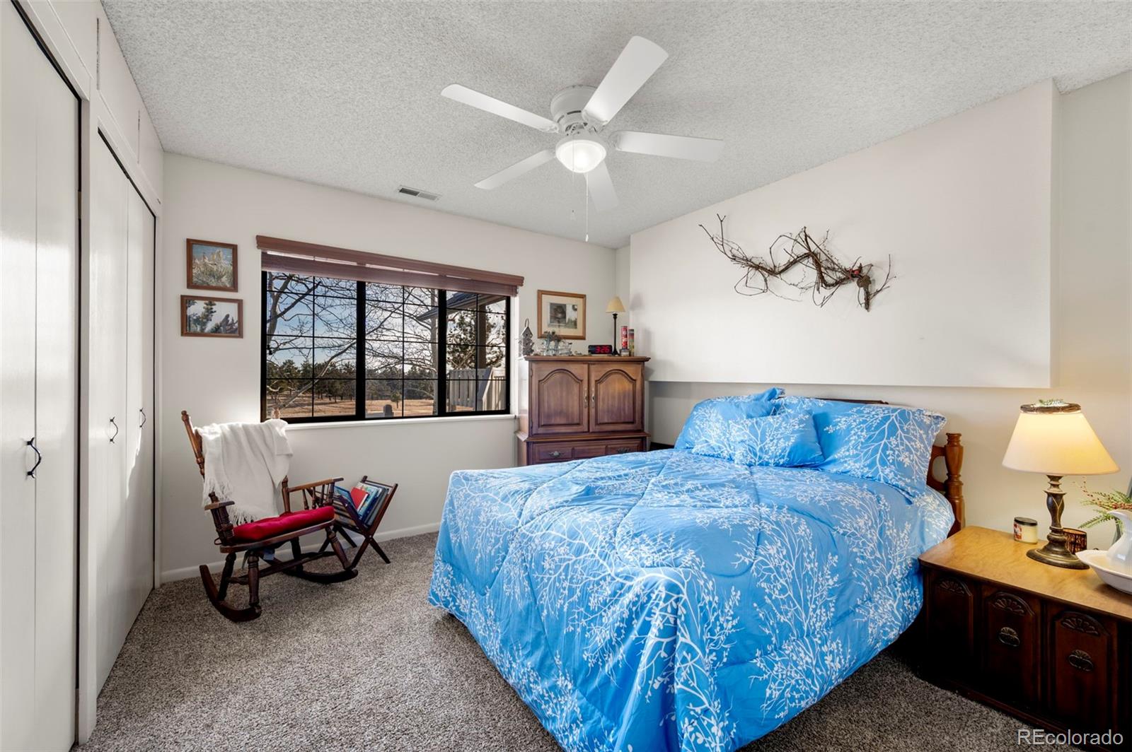 MLS Image #15 for 537  chapparal trail,florissant, Colorado