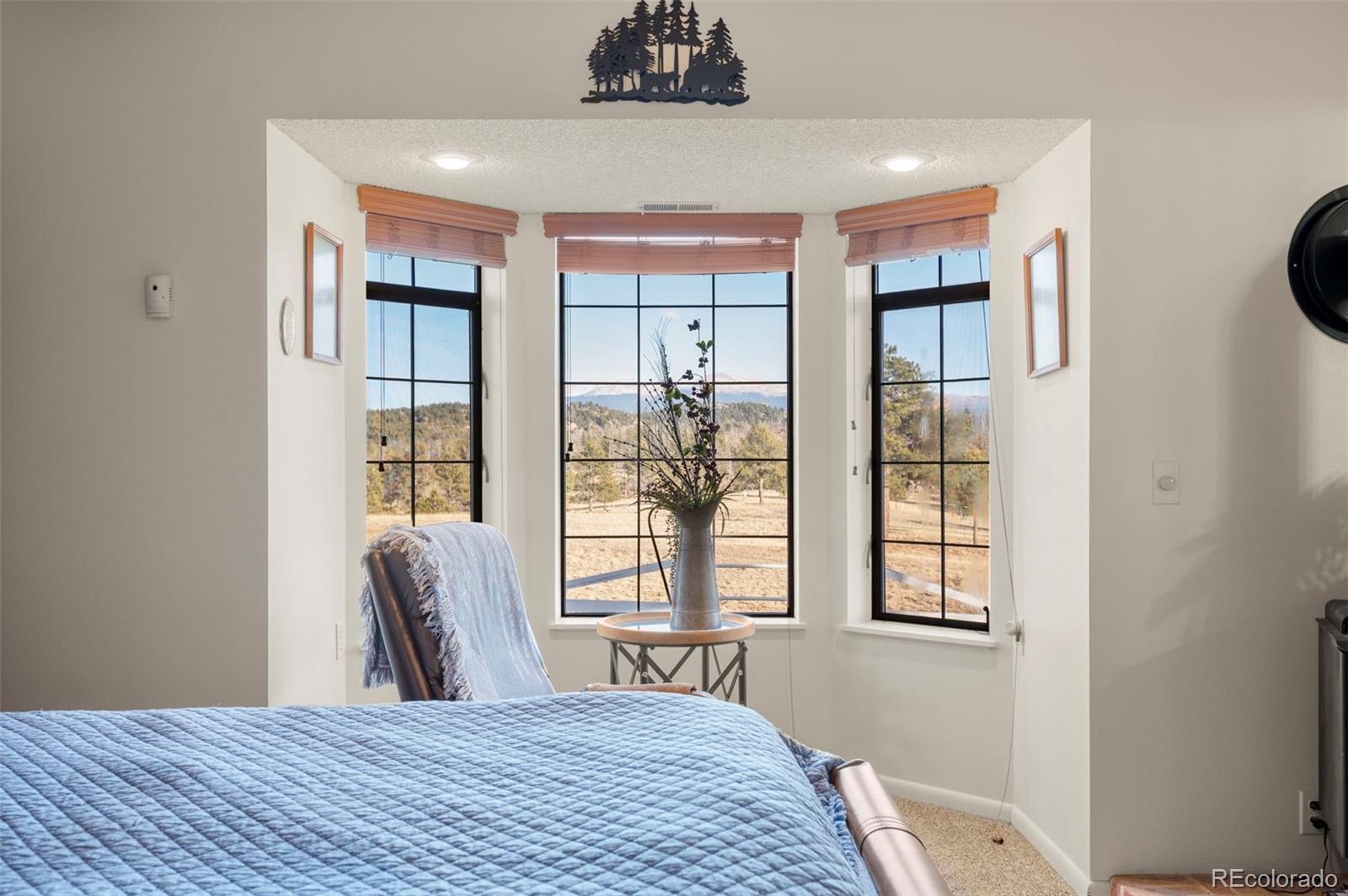 MLS Image #16 for 537  chapparal trail,florissant, Colorado