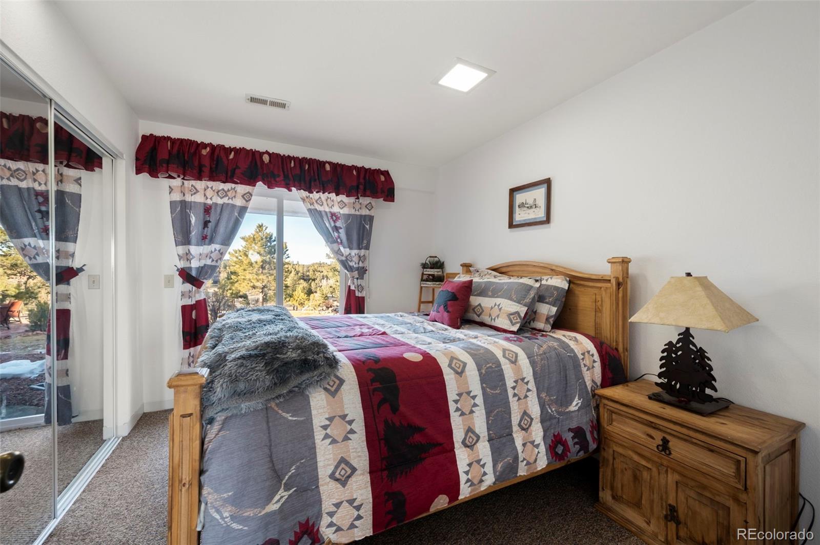 MLS Image #18 for 537  chapparal trail,florissant, Colorado