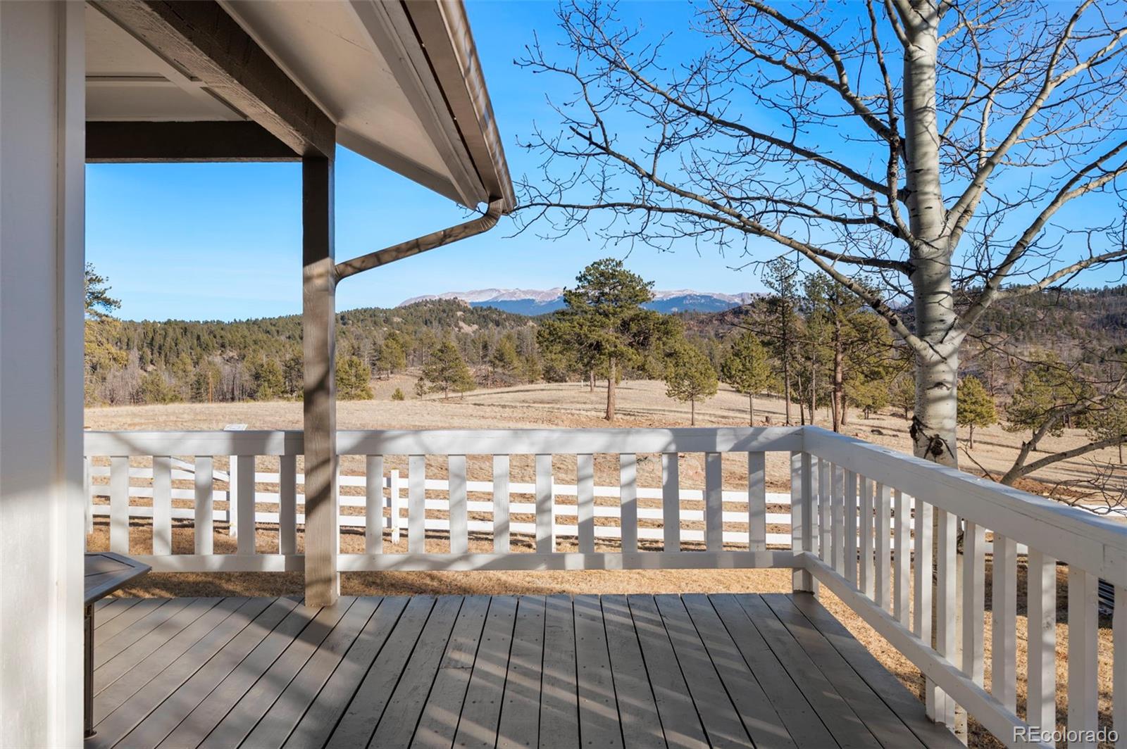 MLS Image #22 for 537  chapparal trail,florissant, Colorado
