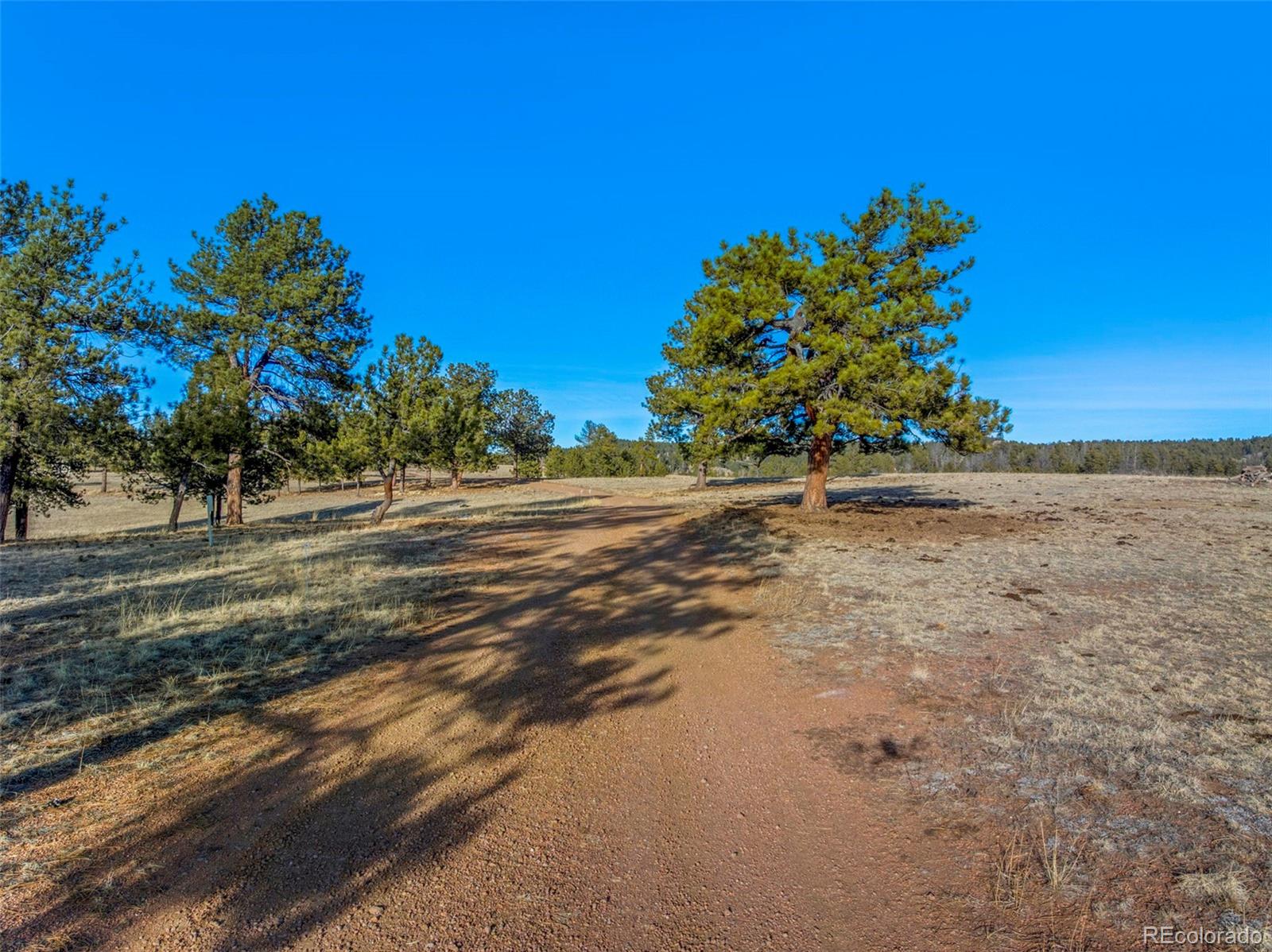 MLS Image #30 for 537  chapparal trail,florissant, Colorado