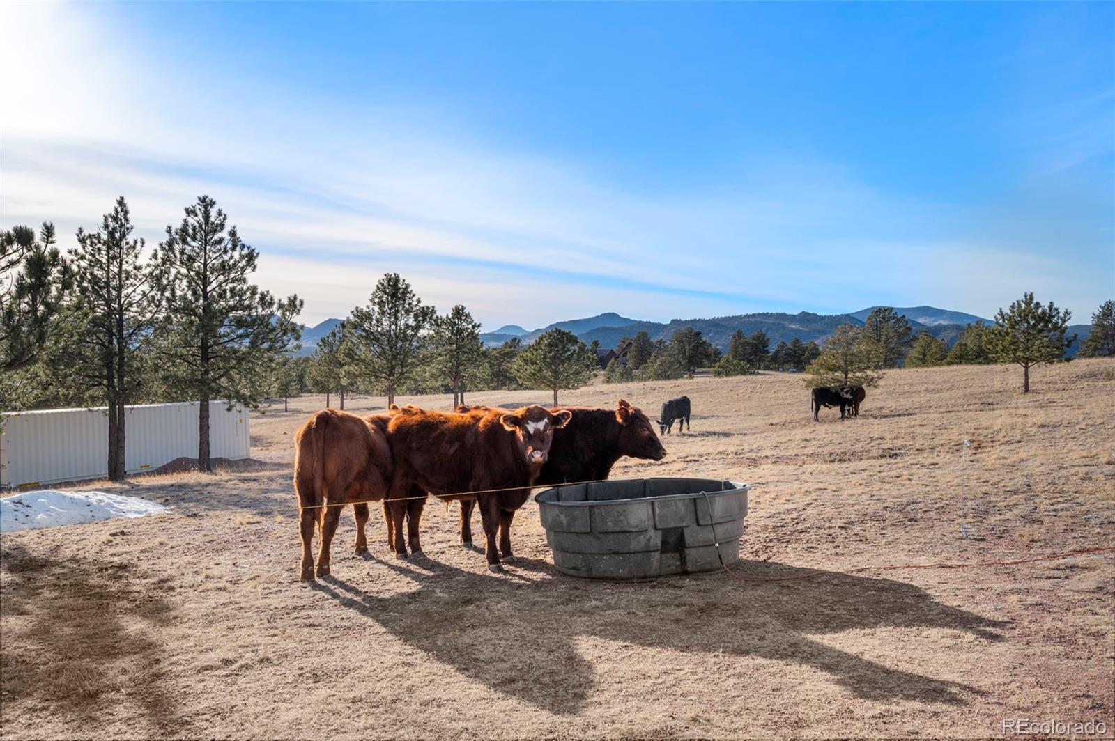 MLS Image #31 for 537  chapparal trail,florissant, Colorado