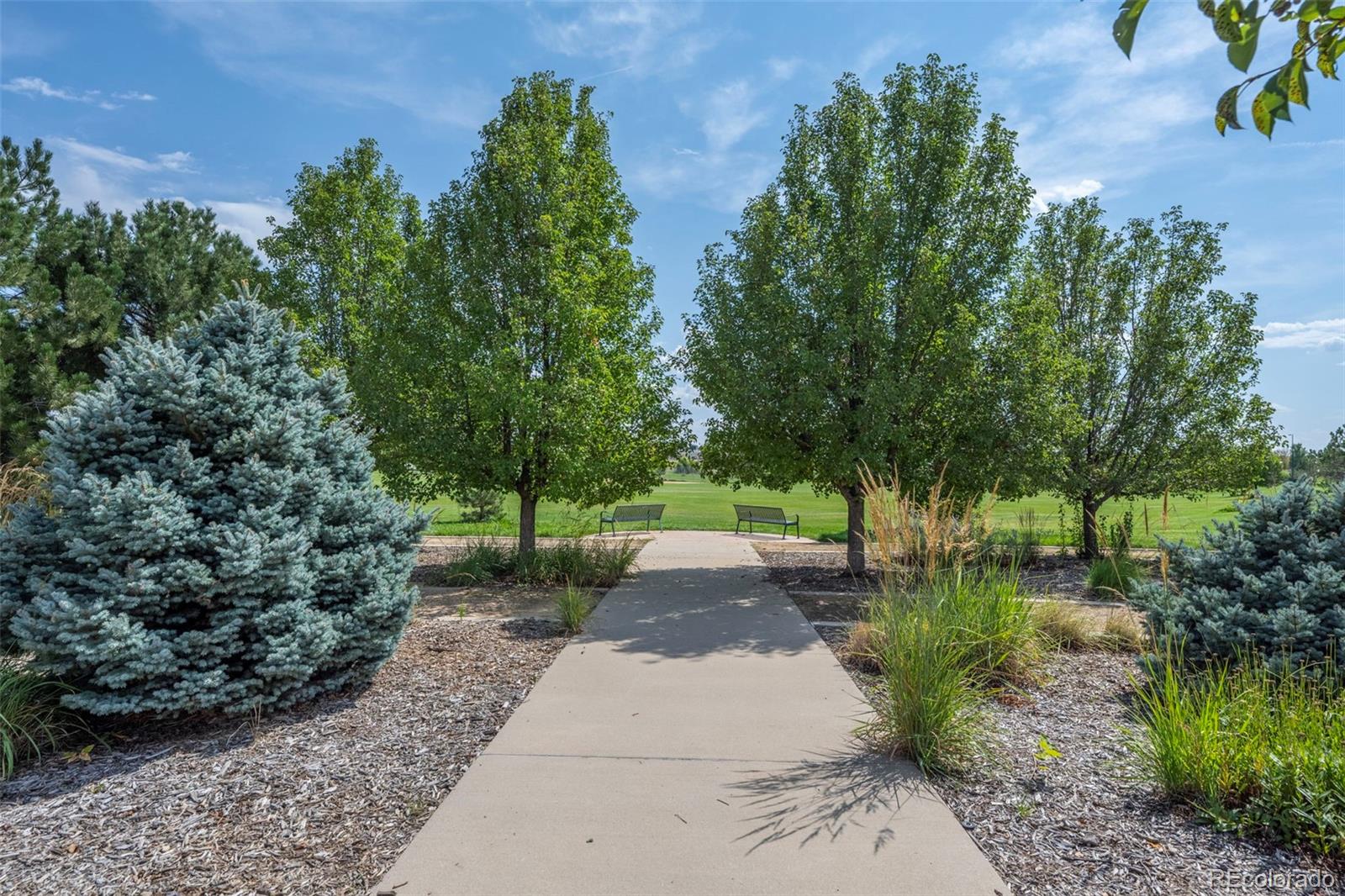 MLS Image #45 for 3974  malta street,denver, Colorado