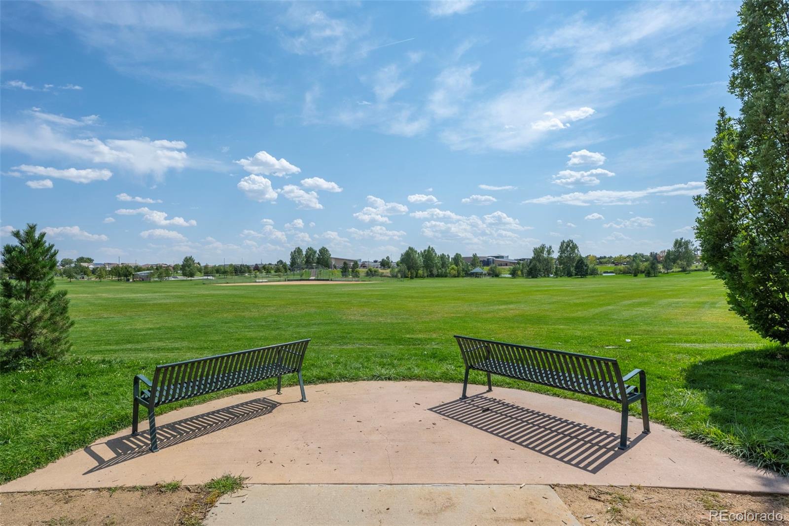 MLS Image #46 for 3974  malta street,denver, Colorado