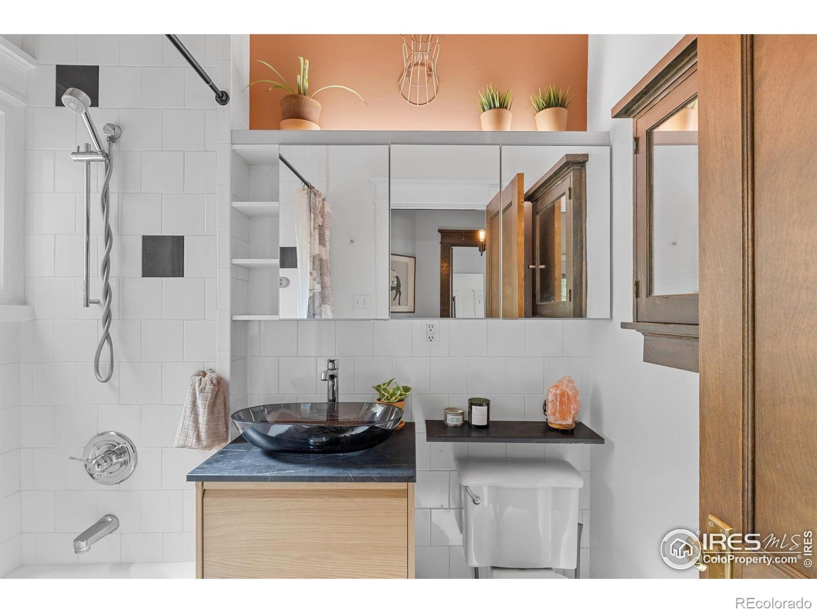 MLS Image #25 for 1217 n downing street,denver, Colorado