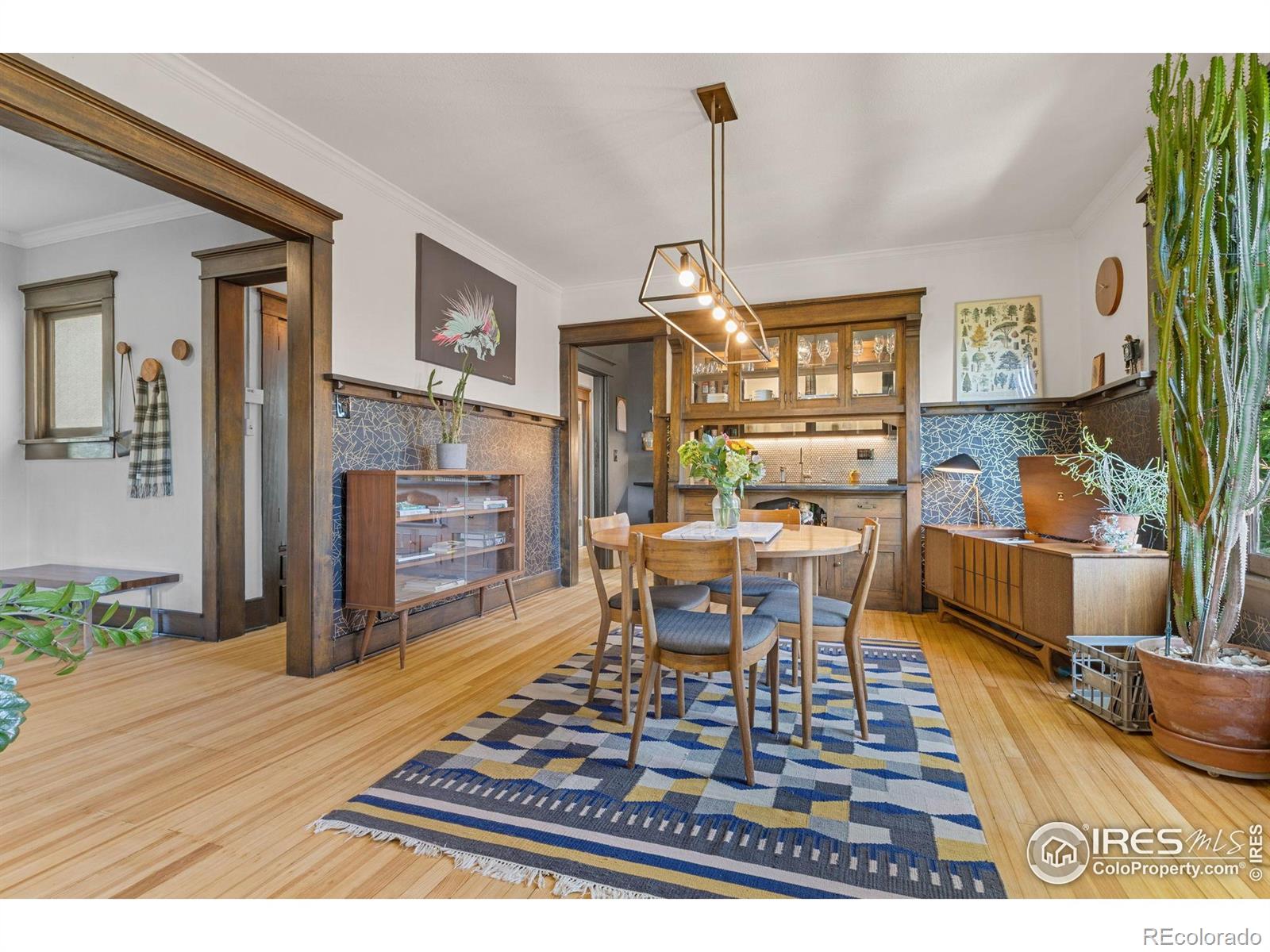 MLS Image #5 for 1217 n downing street,denver, Colorado