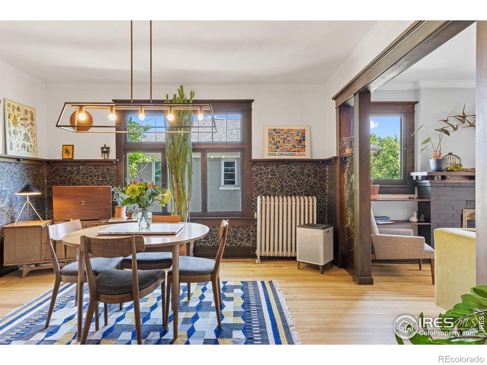 MLS Image #6 for 1217 n downing street,denver, Colorado