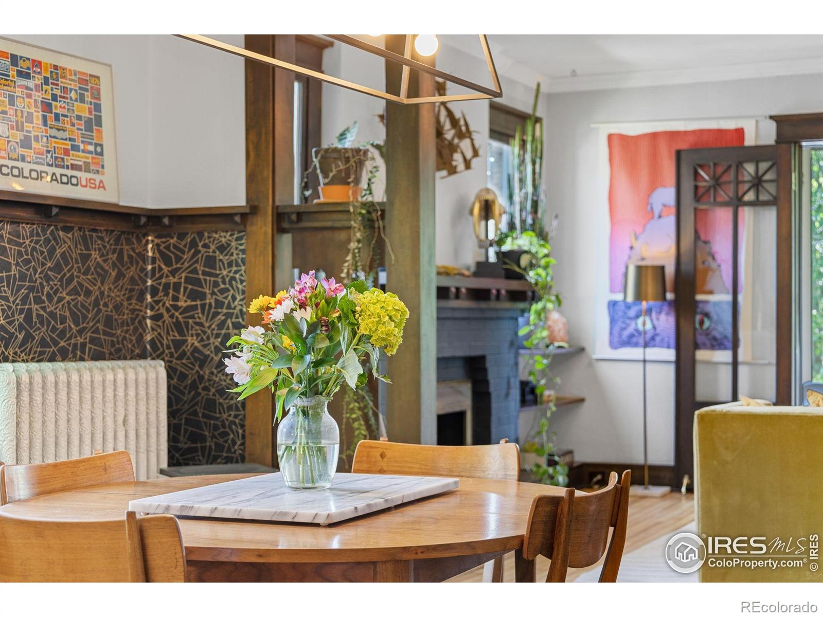 MLS Image #8 for 1217 n downing street,denver, Colorado