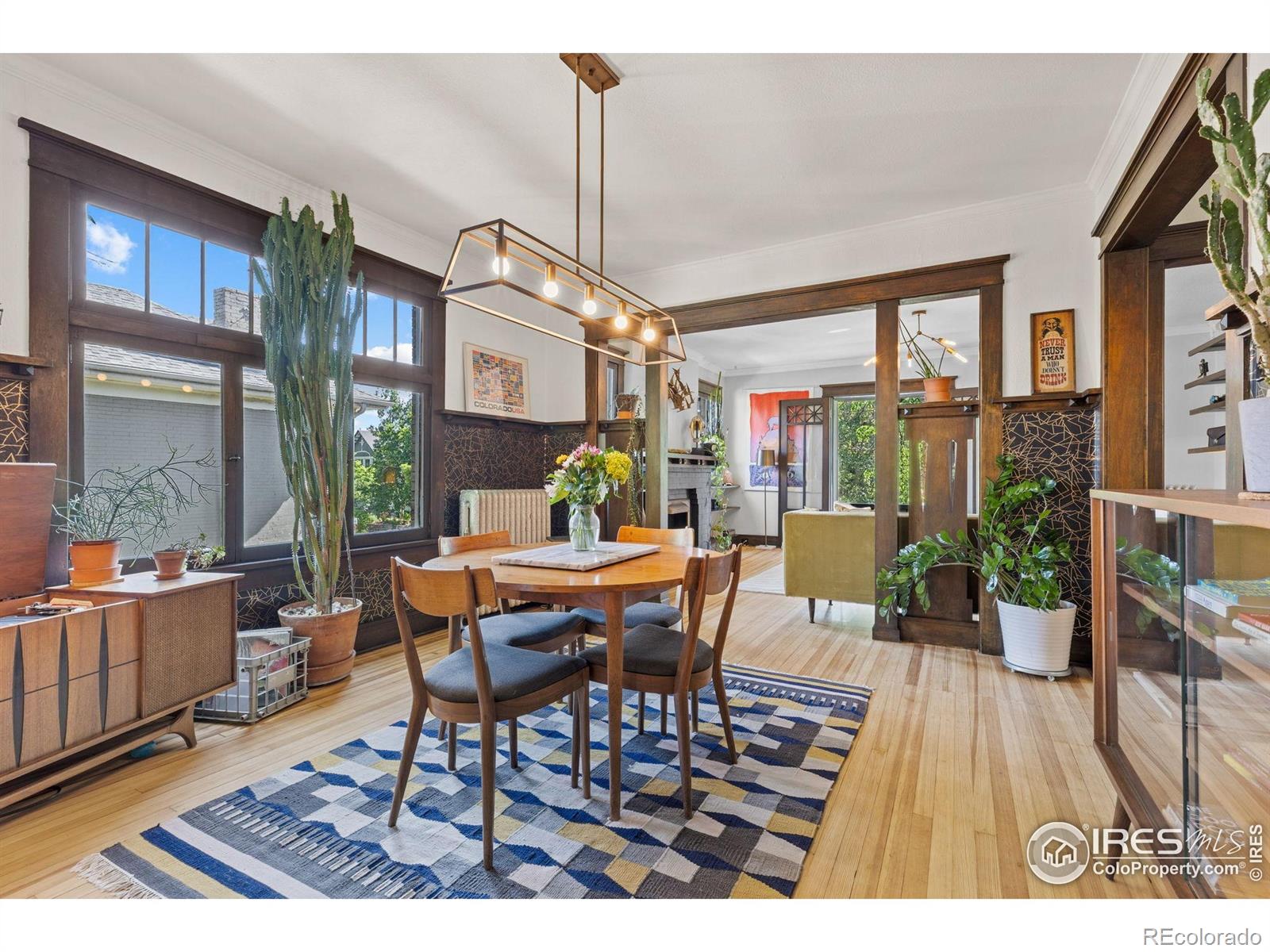 MLS Image #9 for 1217 n downing street,denver, Colorado
