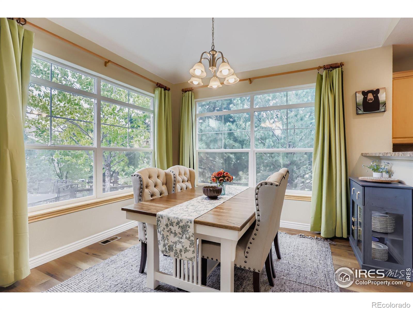 MLS Image #6 for 104  noland court,lyons, Colorado