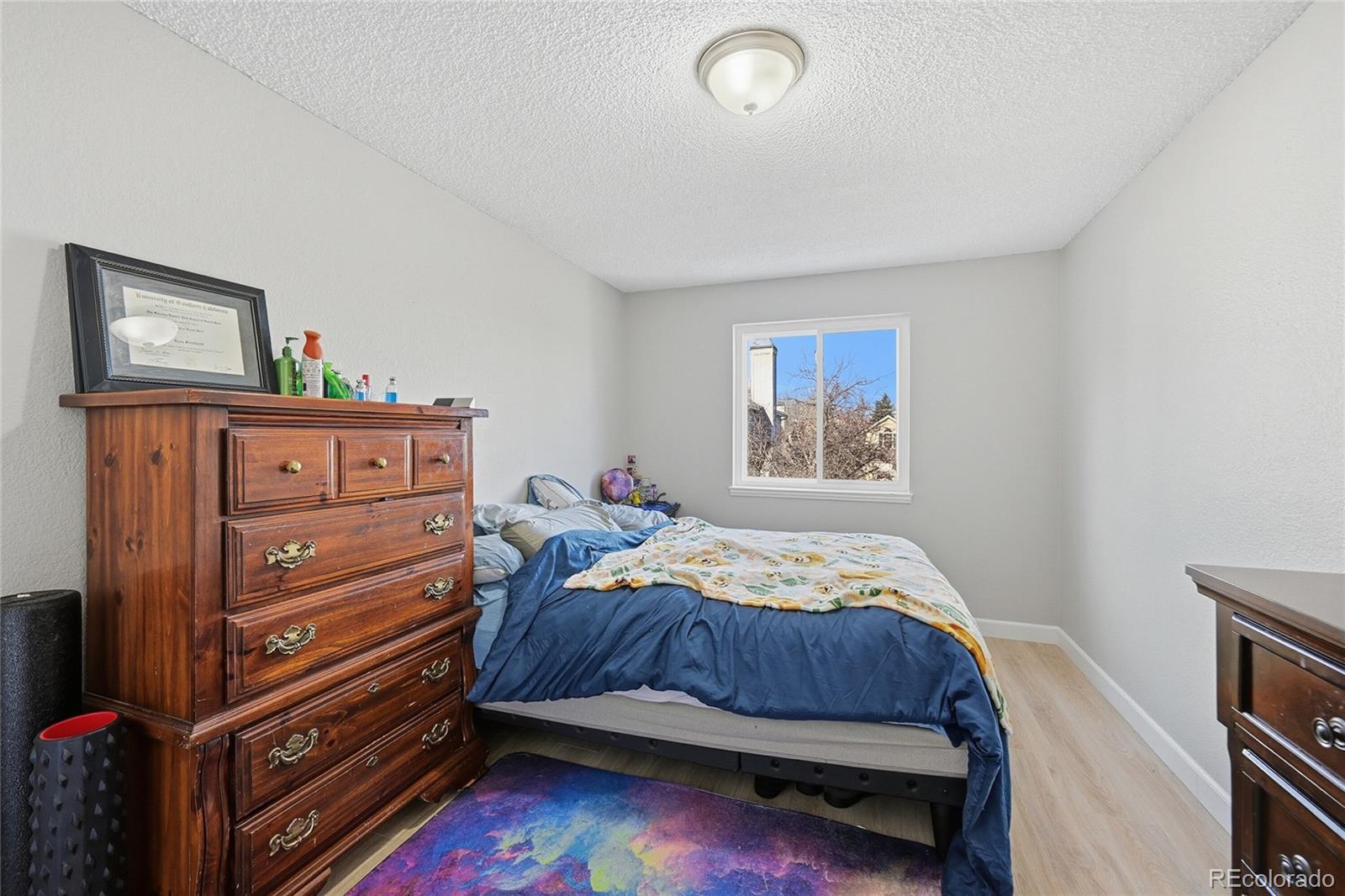 MLS Image #14 for 16321  orchard grass lane,parker, Colorado