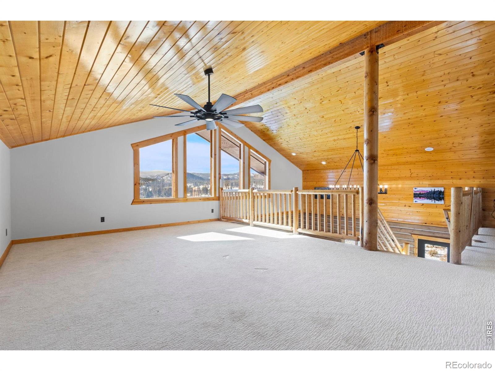 MLS Image #21 for 357  navajo road,red feather lakes, Colorado