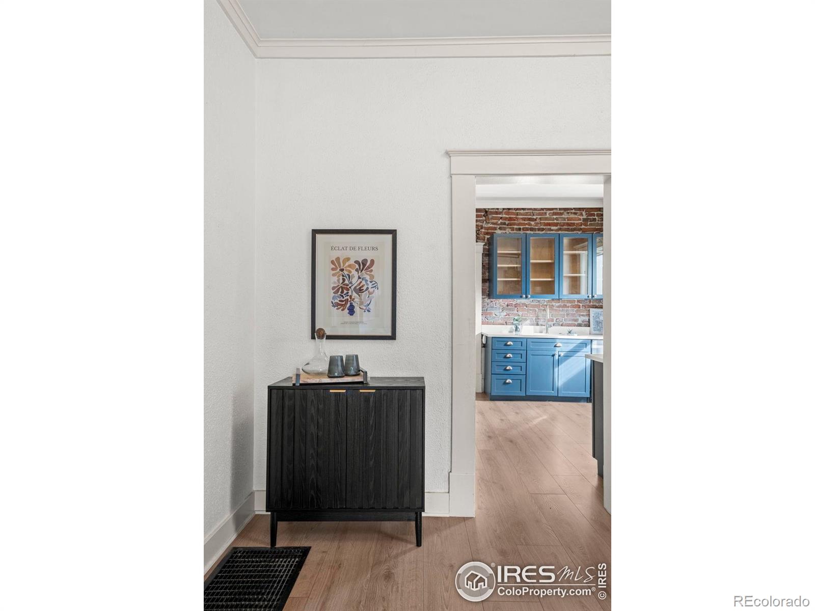 MLS Image #18 for 1056 s pennsylvania street,denver, Colorado