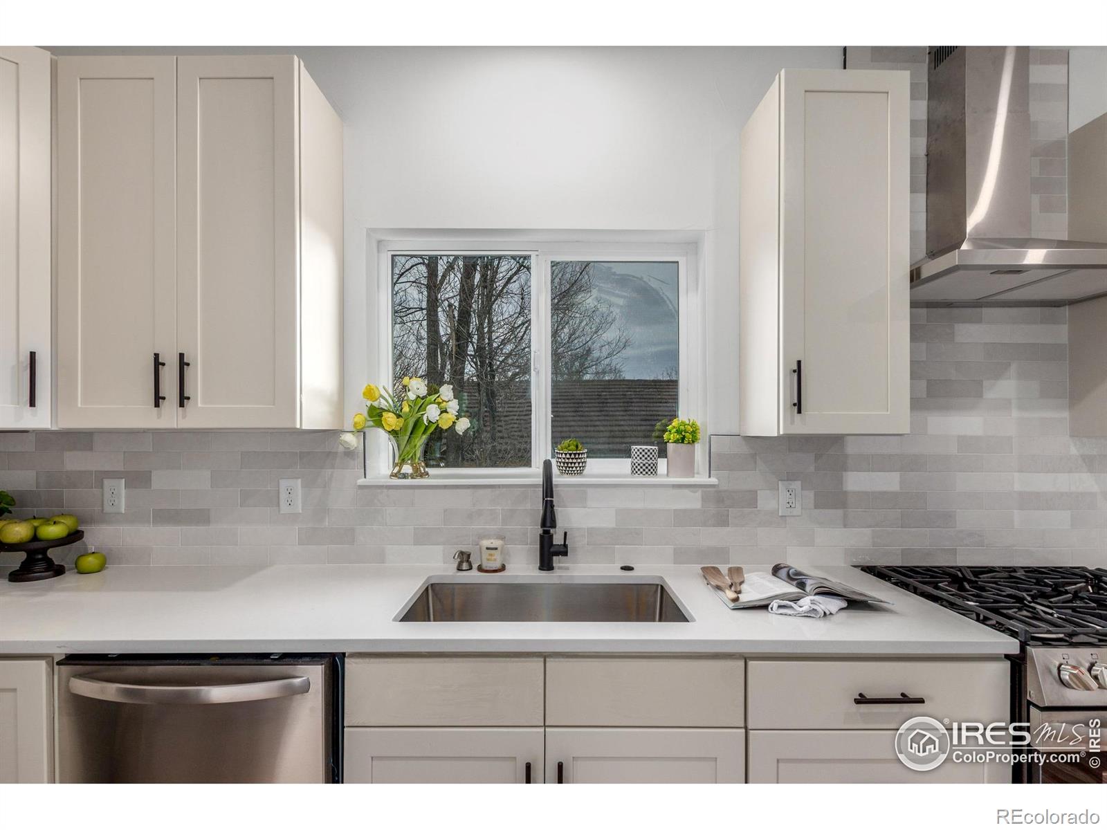 MLS Image #10 for 266  stuart street,denver, Colorado