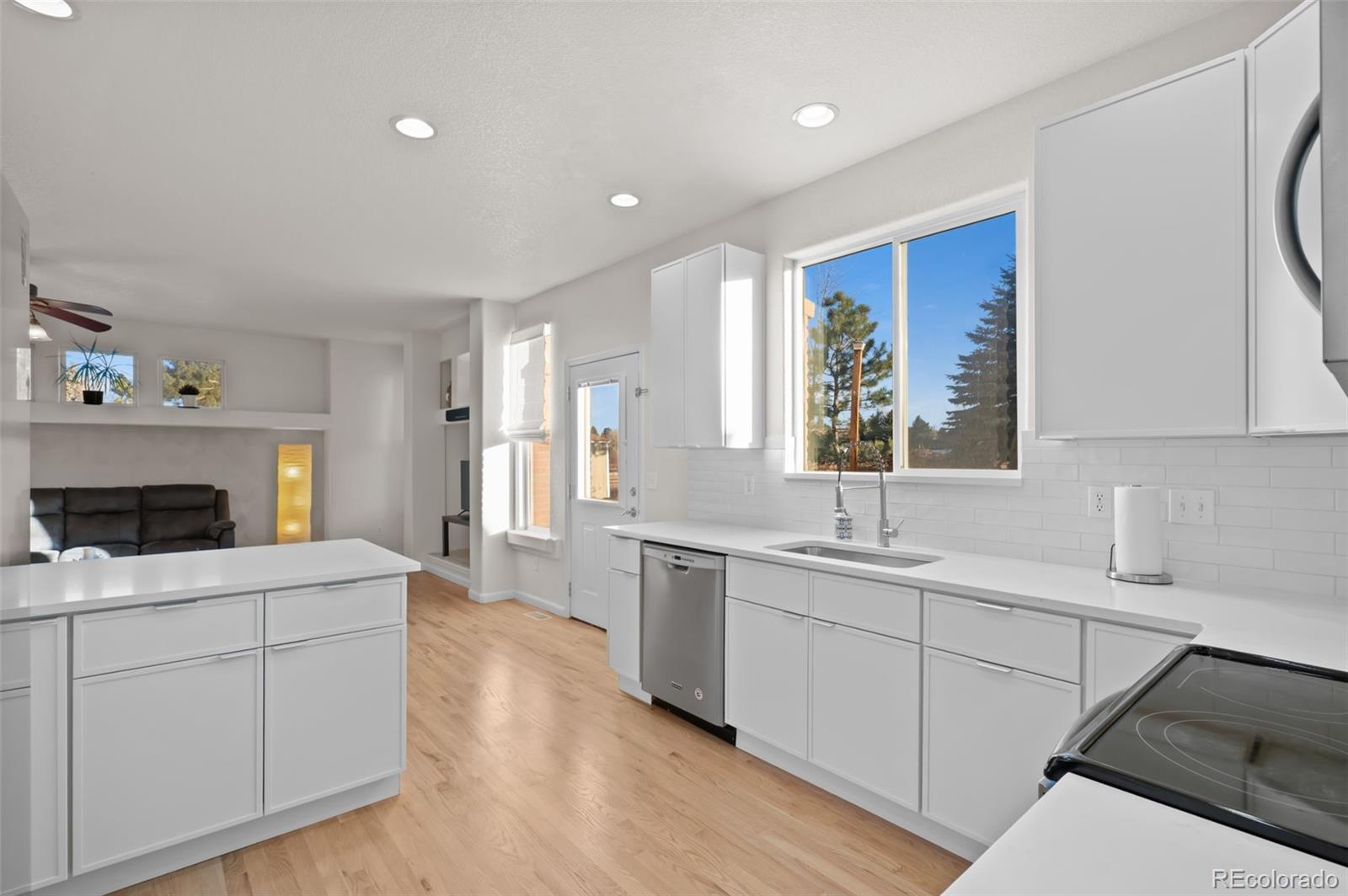 MLS Image #10 for 20175  edinborough place,parker, Colorado