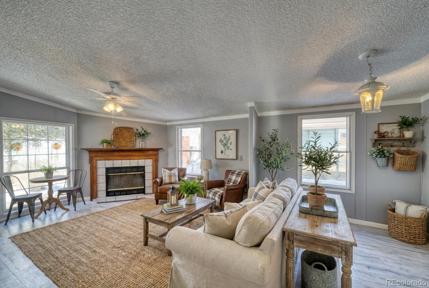 MLS Image #3 for 36  valley circle,guffey, Colorado