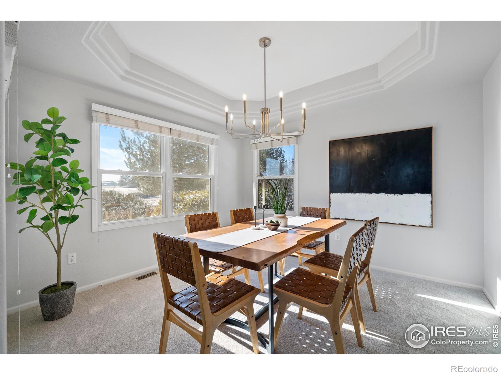 MLS Image #12 for 8269  park hill court,fort collins, Colorado