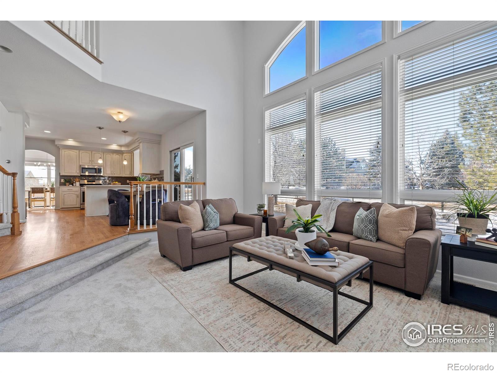 MLS Image #16 for 8269  park hill court,fort collins, Colorado