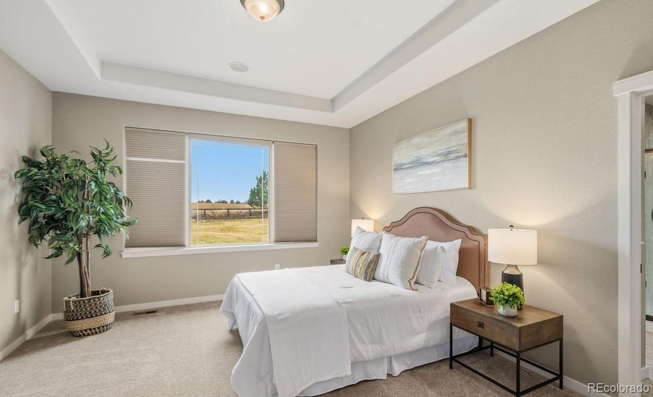 MLS Image #11 for 7720  amour hill drive,greeley, Colorado